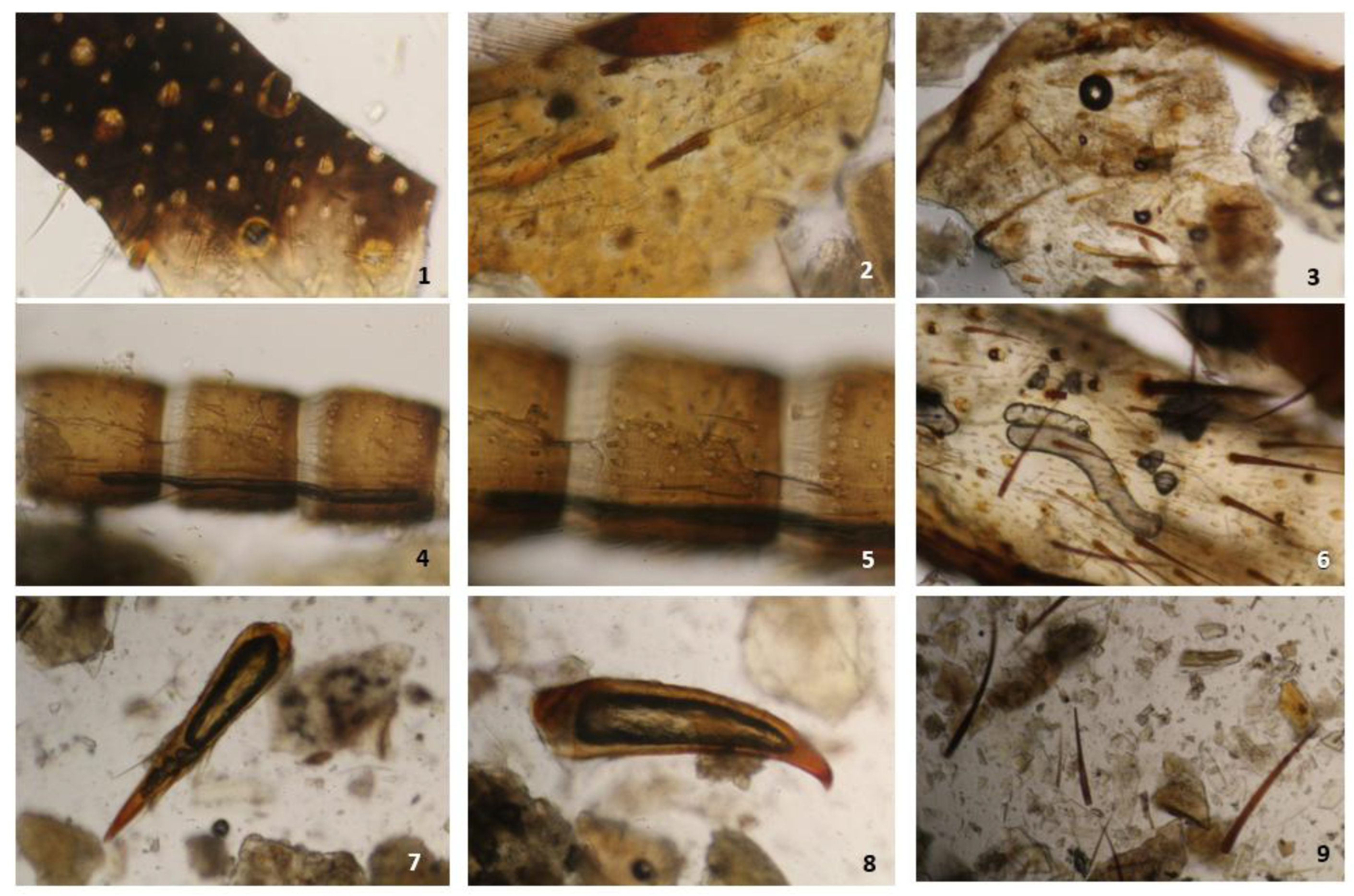 Preprints 195828 g005