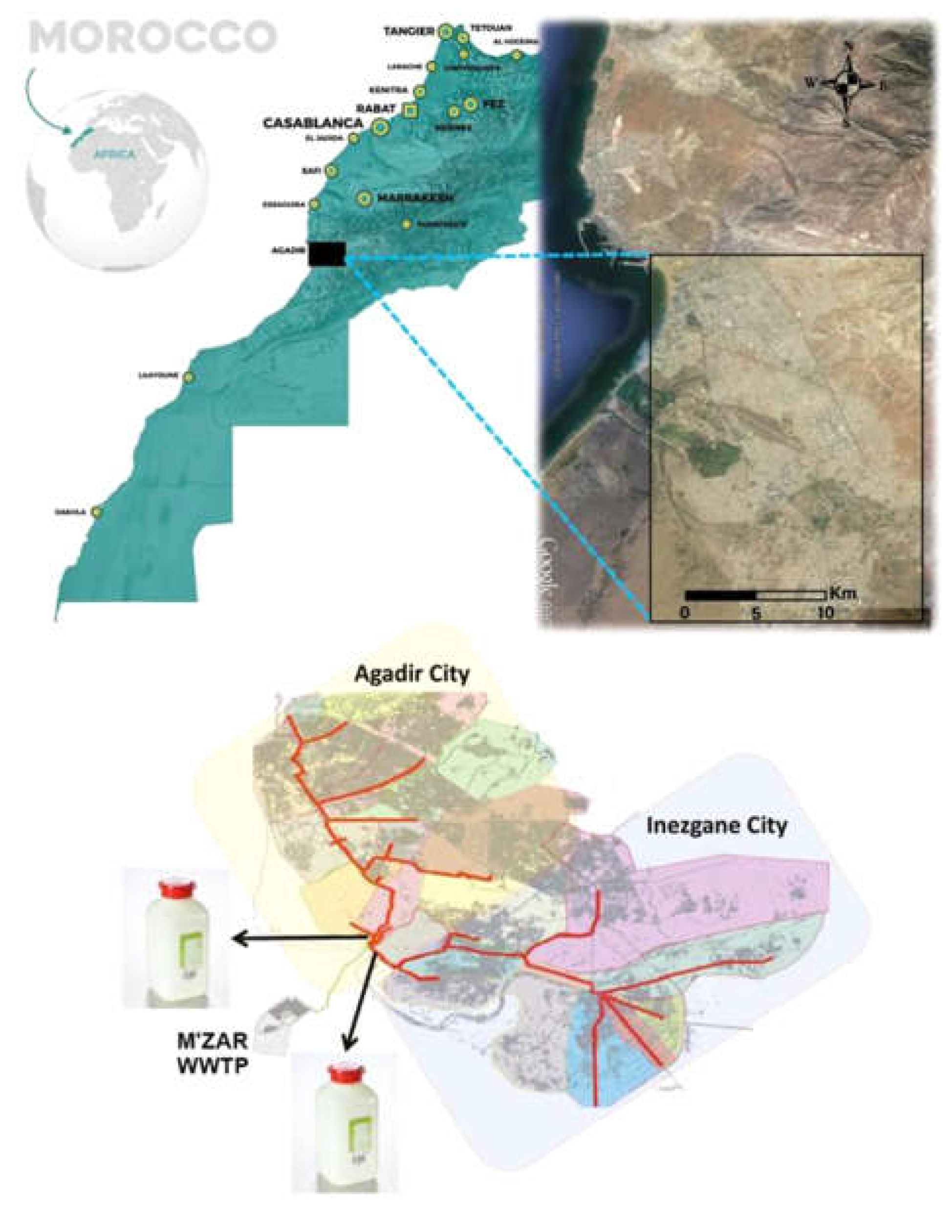 Preprints 114869 g001