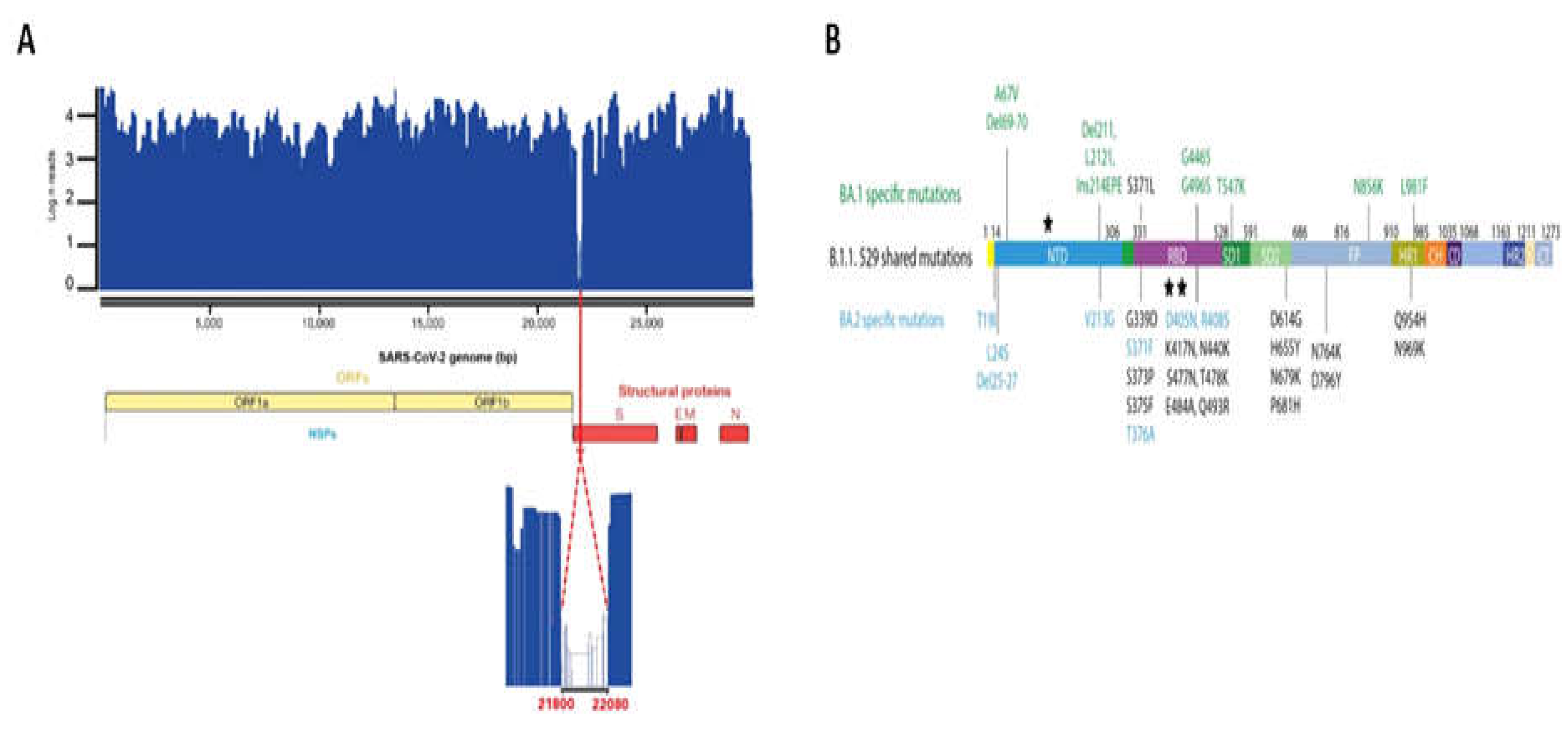 Preprints 114869 g006