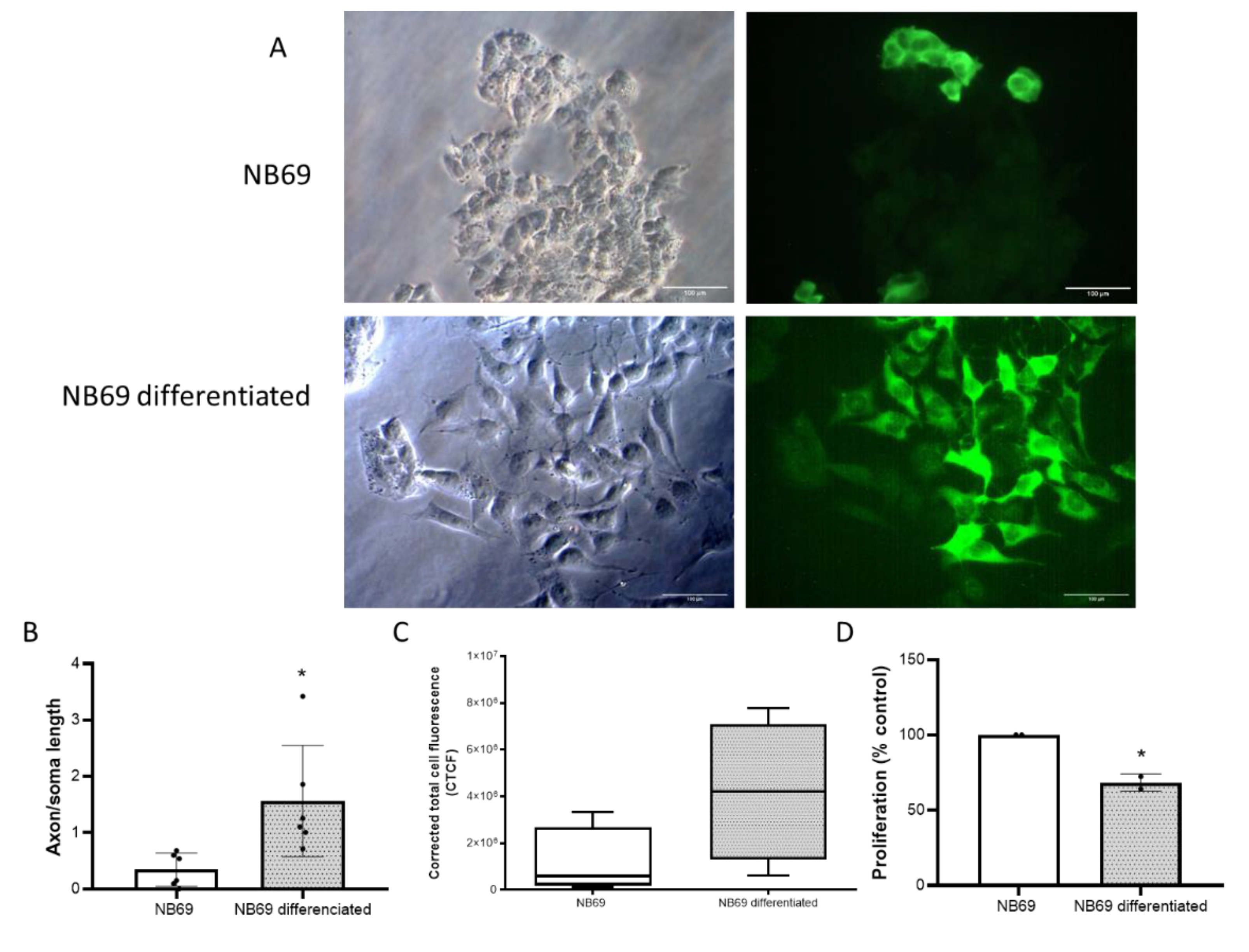 Preprints 205788 g004 Preprints 205788 g004