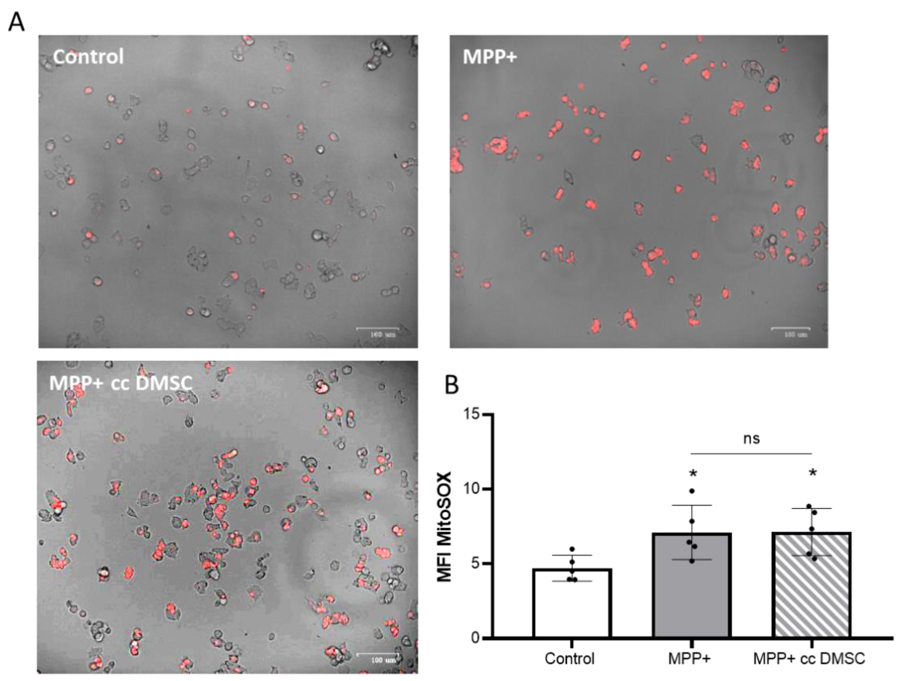 Preprints 205788 g007 Preprints 205788 g007