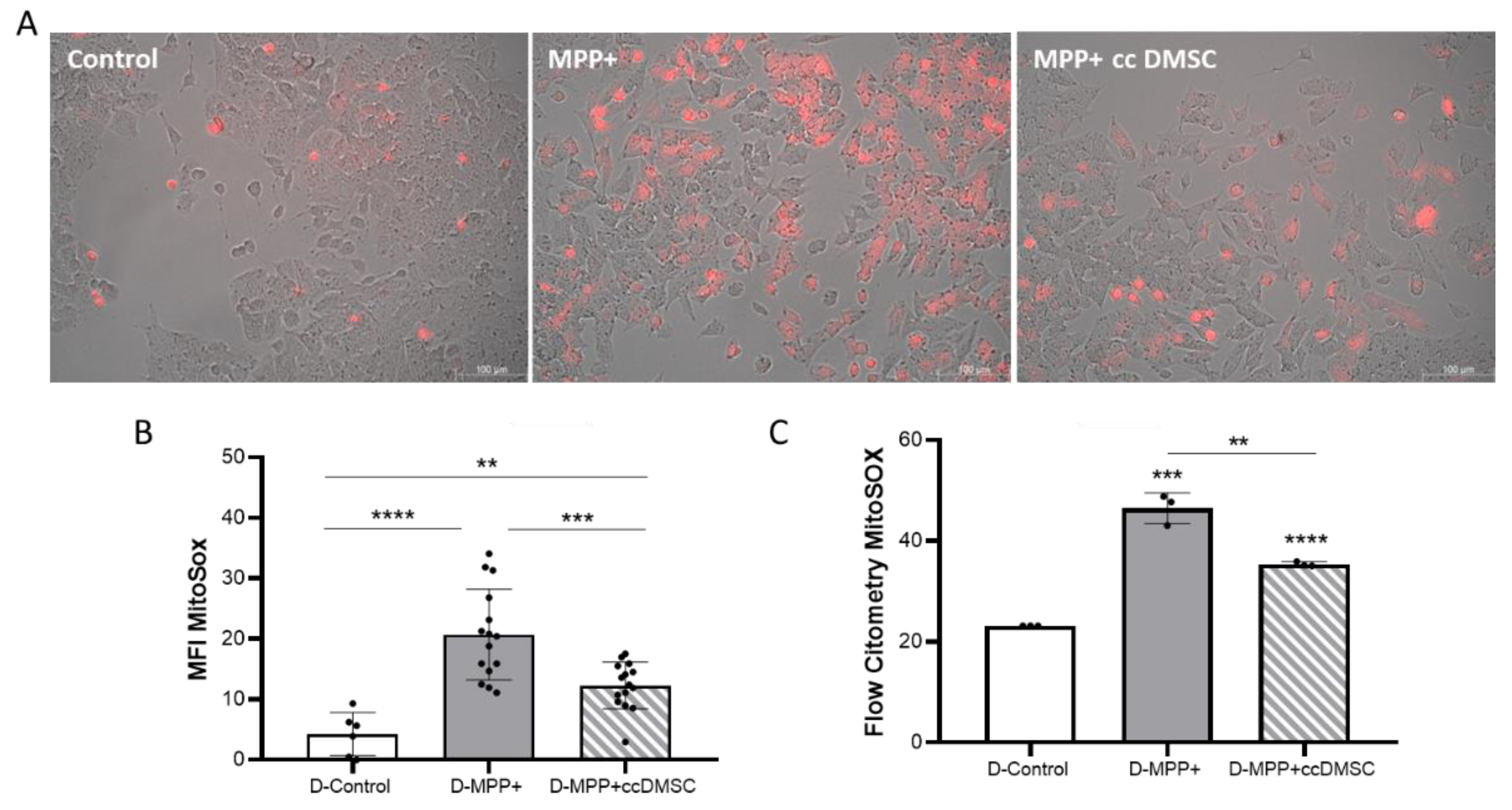 Preprints 205788 g008 Preprints 205788 g008