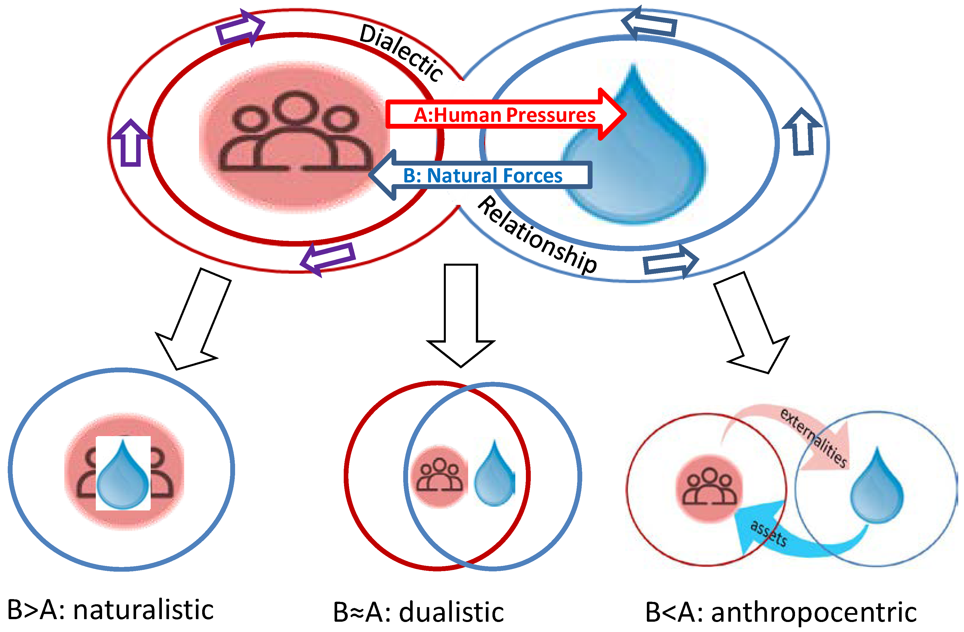 Preprints 99230 g005