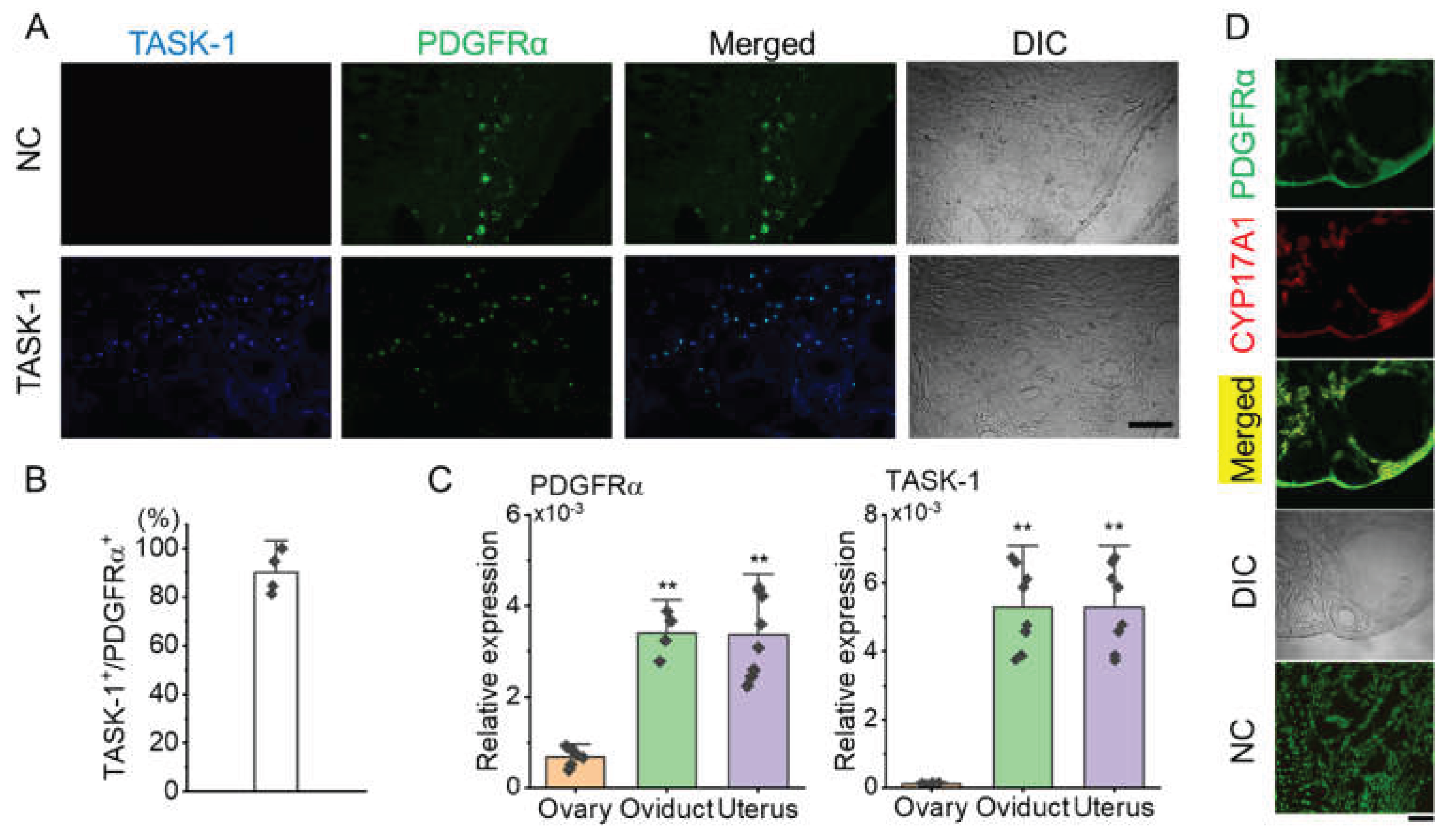 Preprints 162935 g003