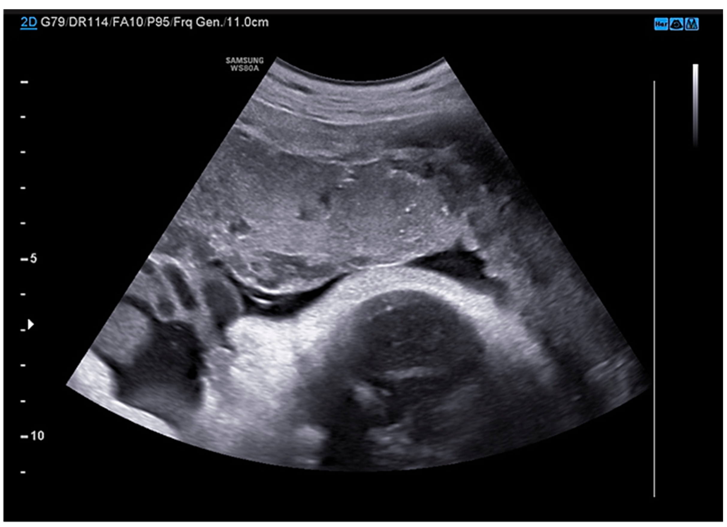 Preprints 76841 g001