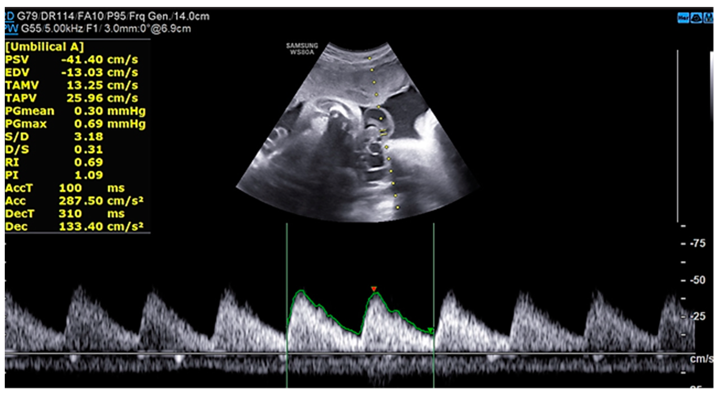 Preprints 76841 g002