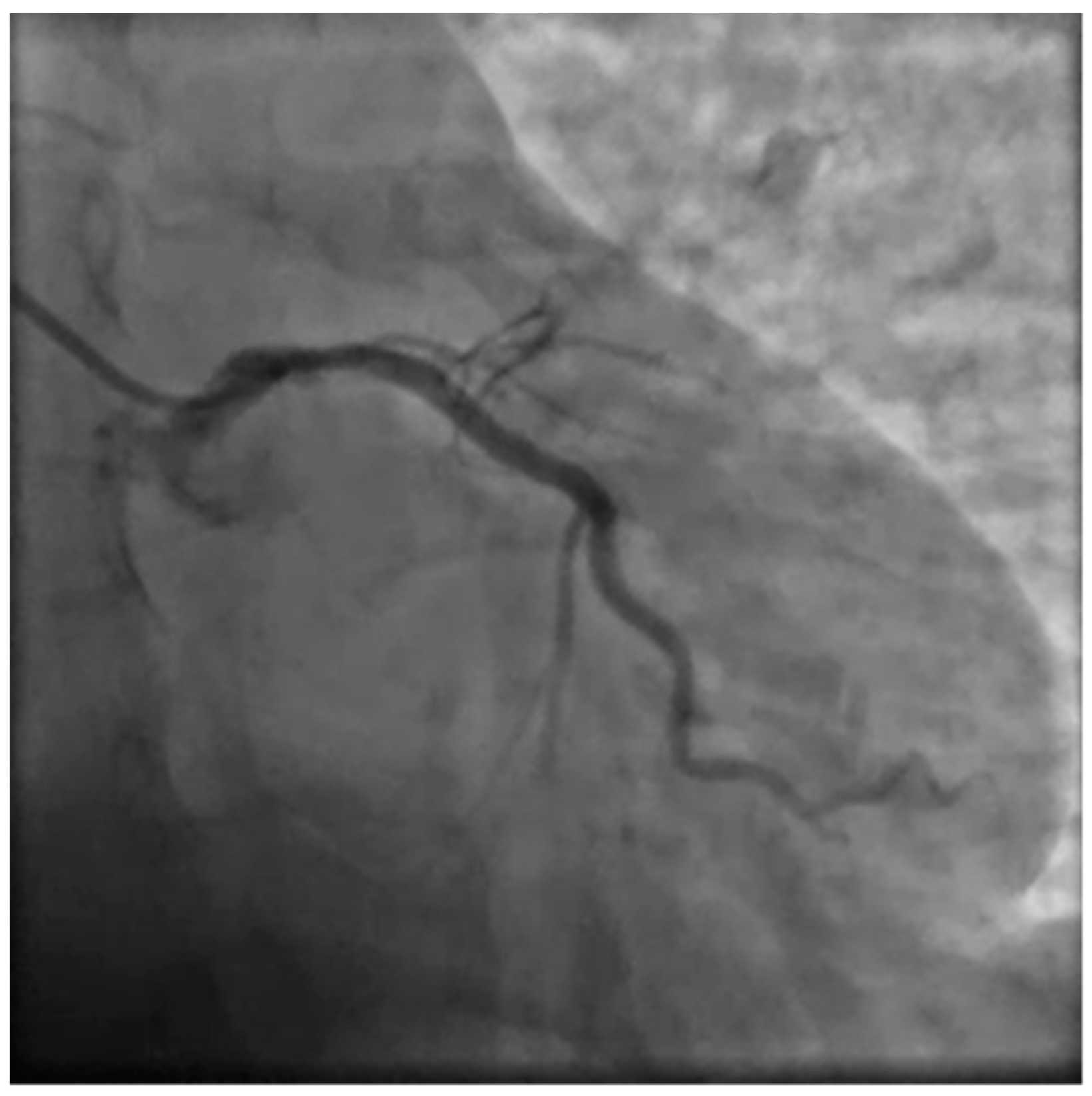 Preprints 76841 g004