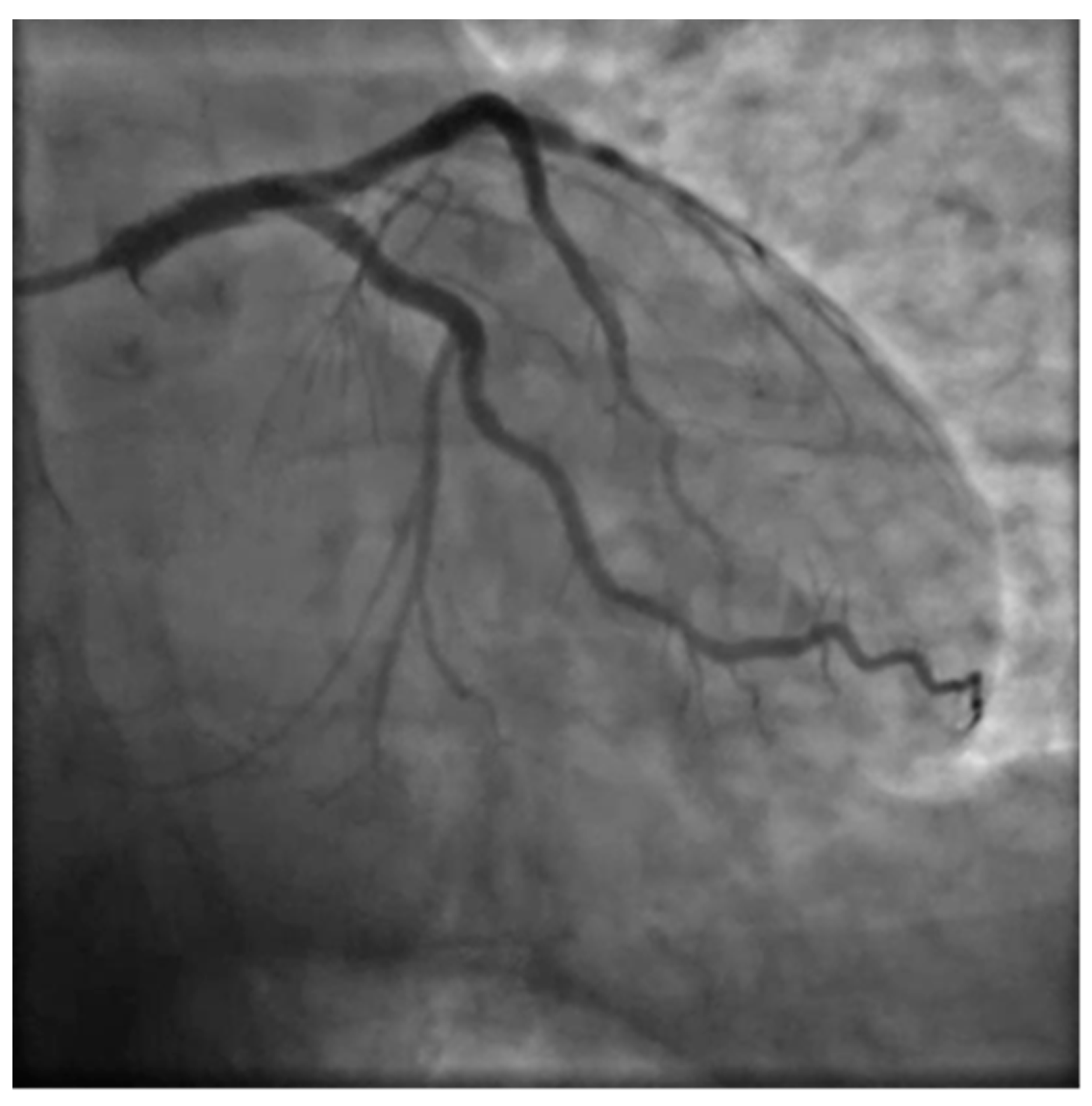 Preprints 76841 g008