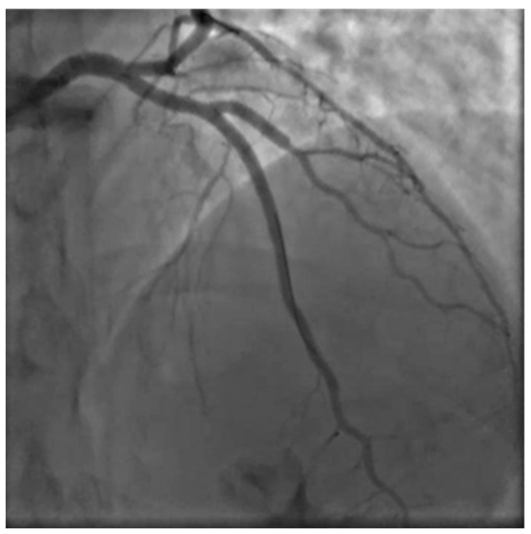 Preprints 76841 g009