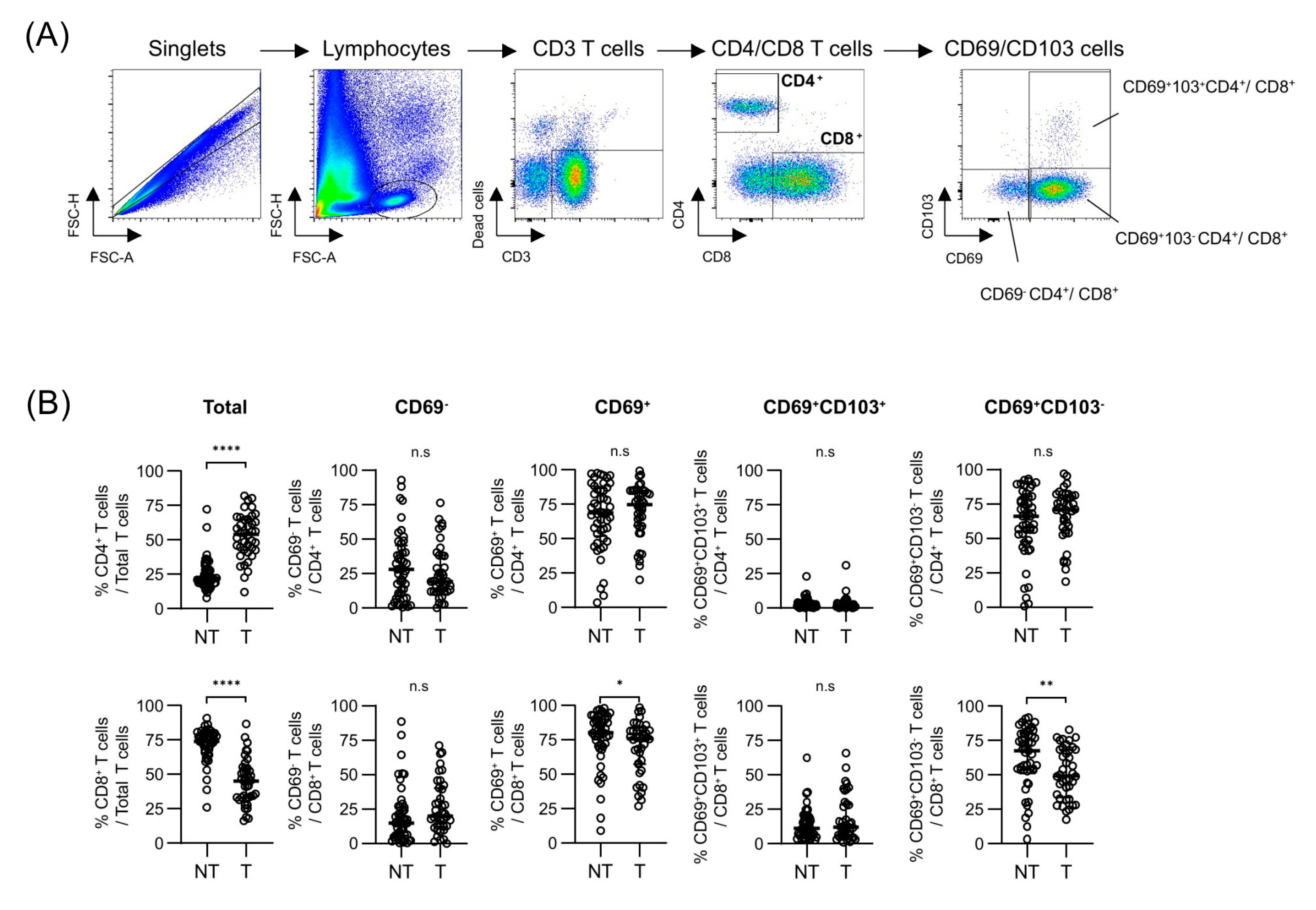 Preprints 156862 g001
