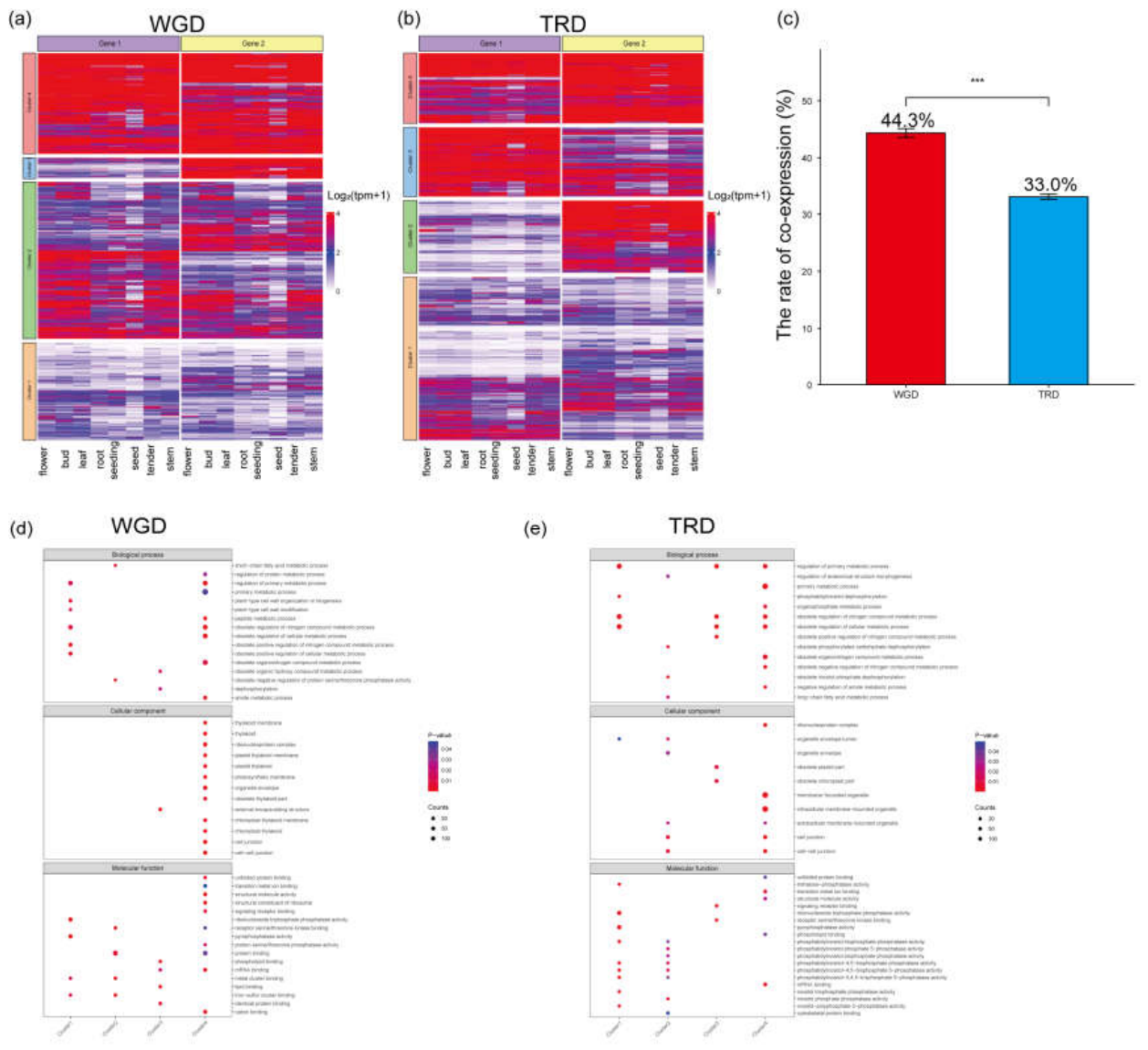 Preprints 221973 g001