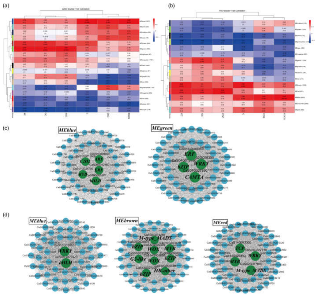 Preprints 221973 g008