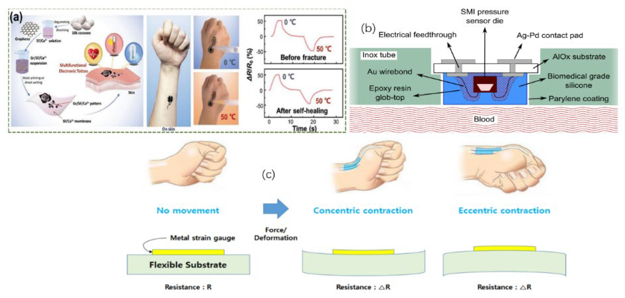 Preprints 151832 g003