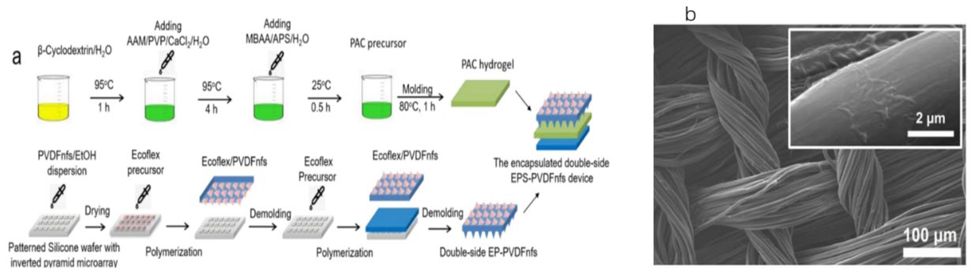 Preprints 151832 g005
