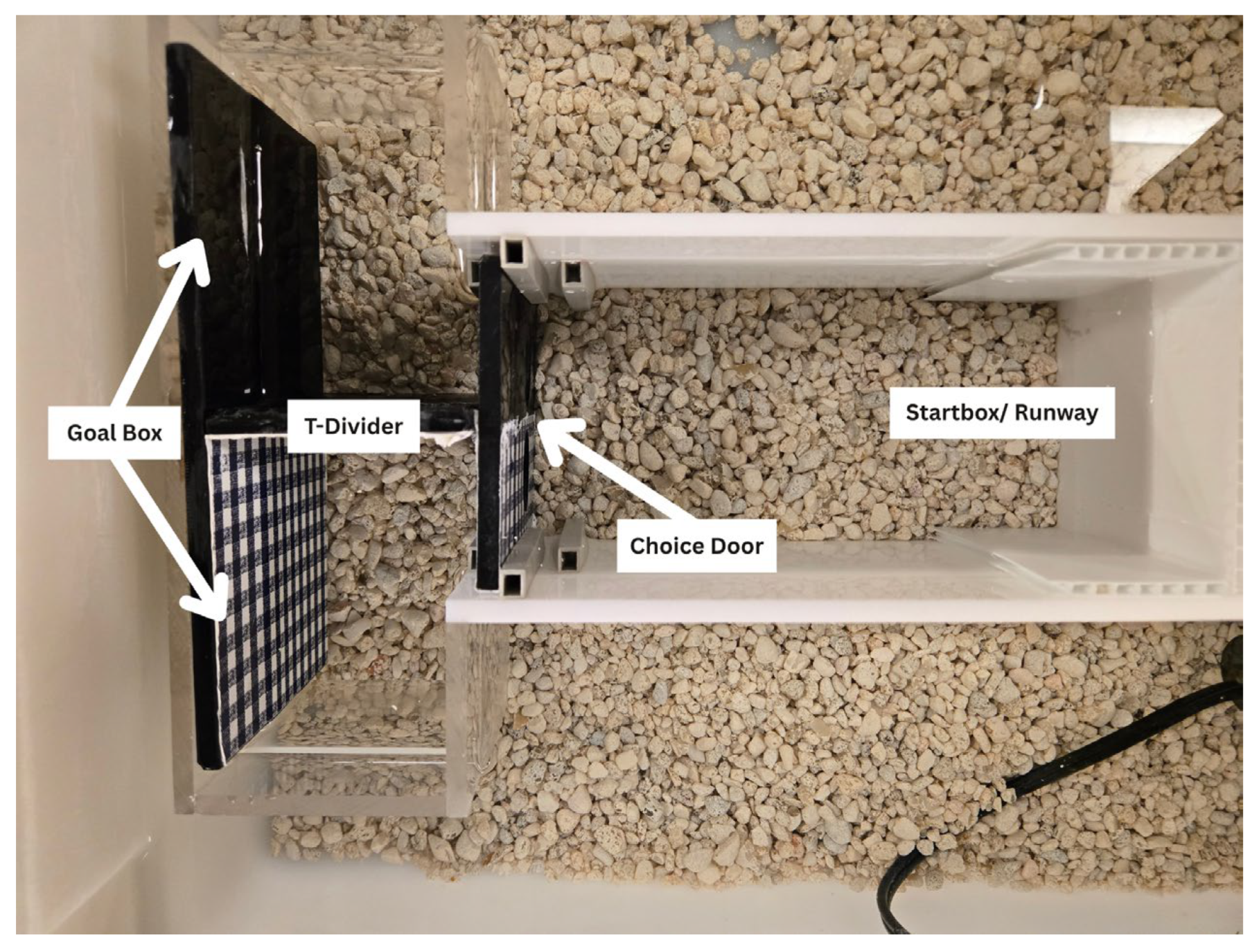Preprints 177502 g001