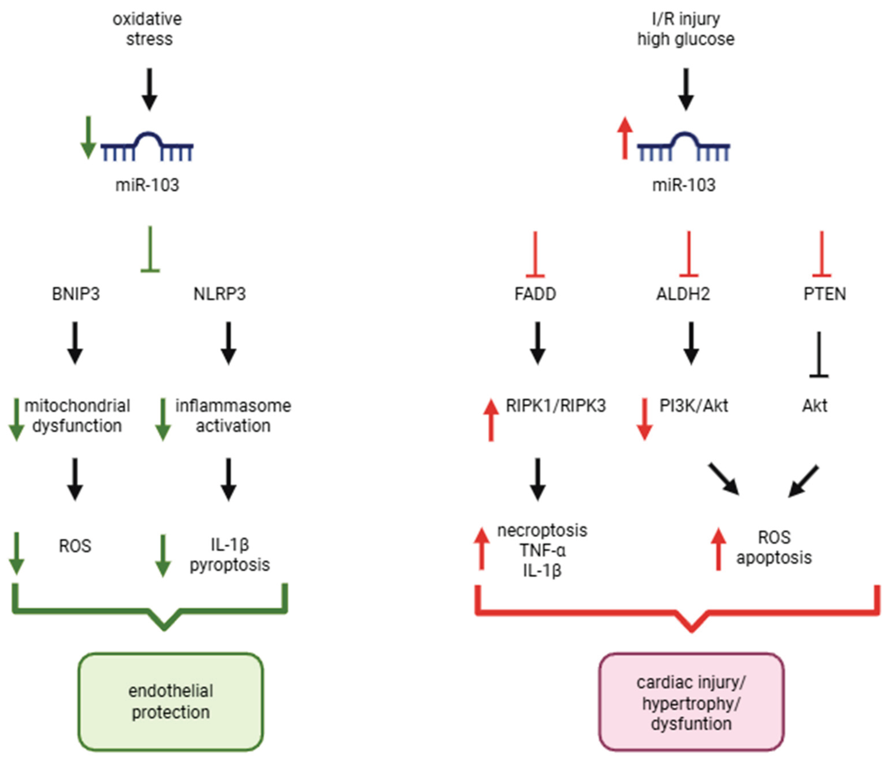 Preprints 220909 g001 Preprints 220909 g001