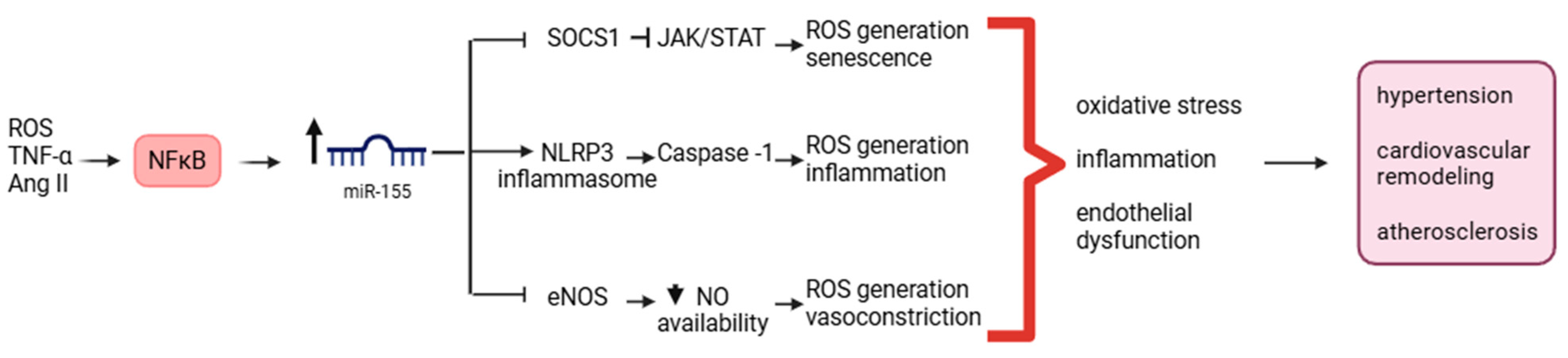 Preprints 220909 g002 Preprints 220909 g002