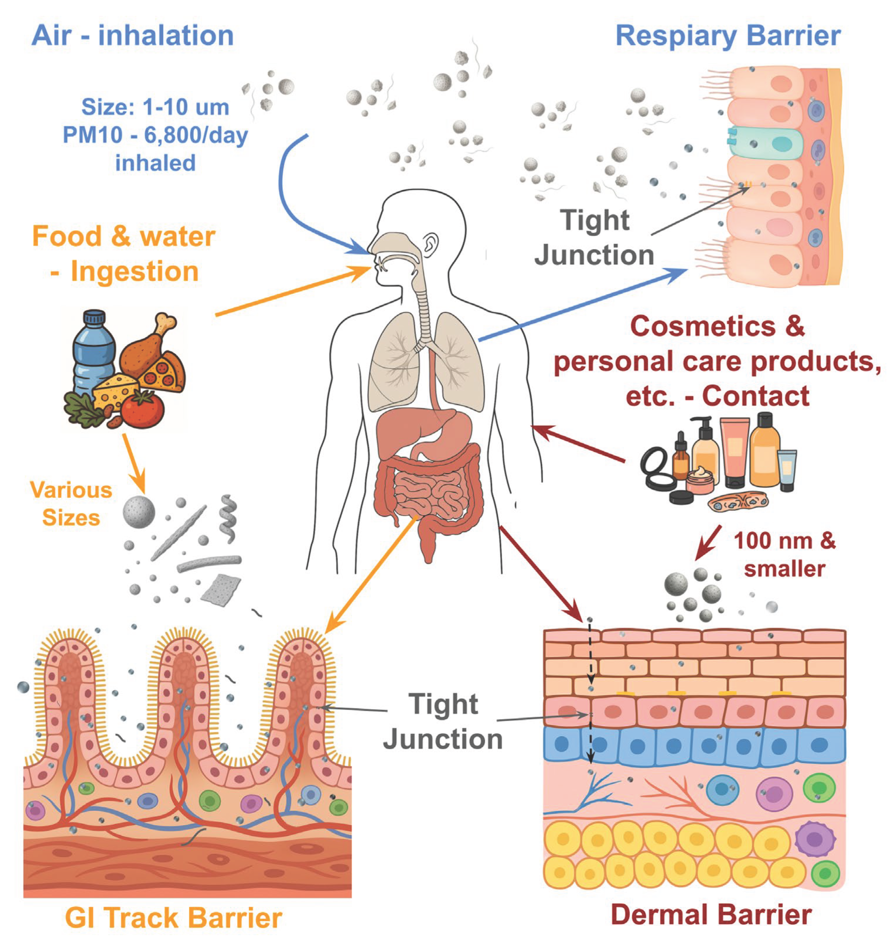 Preprints 178132 g001