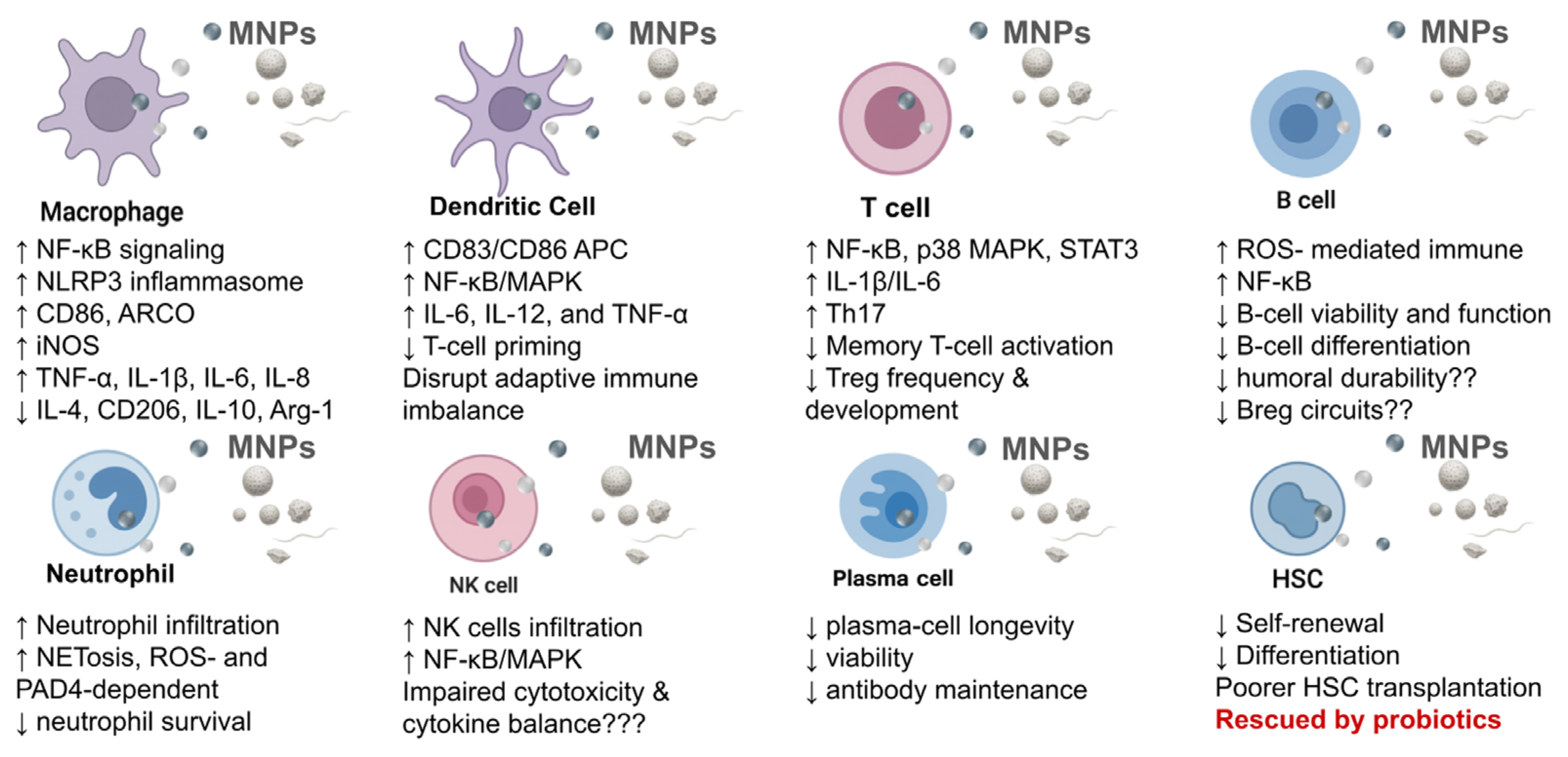 Preprints 178132 g002