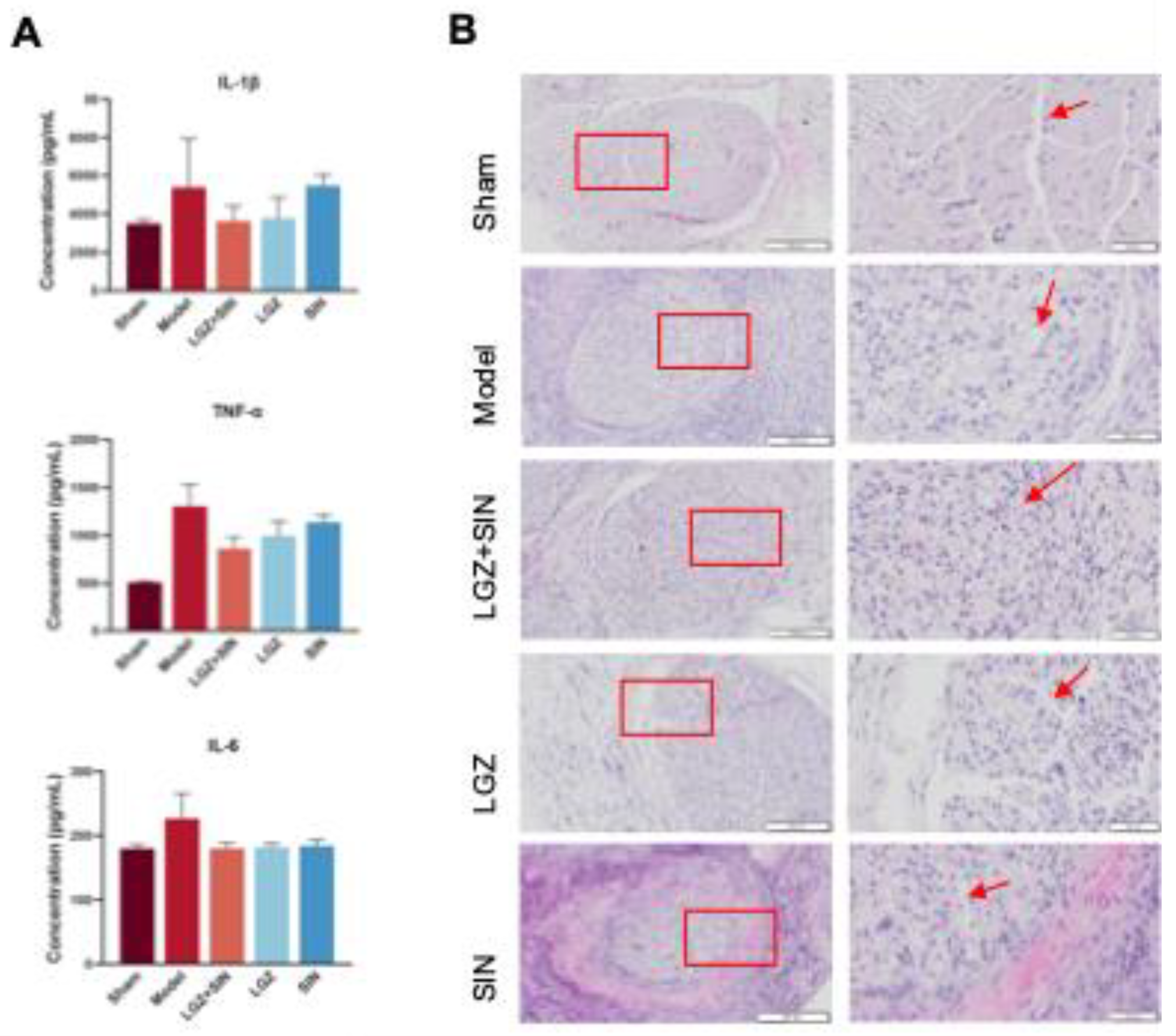 Preprints 147002 g002