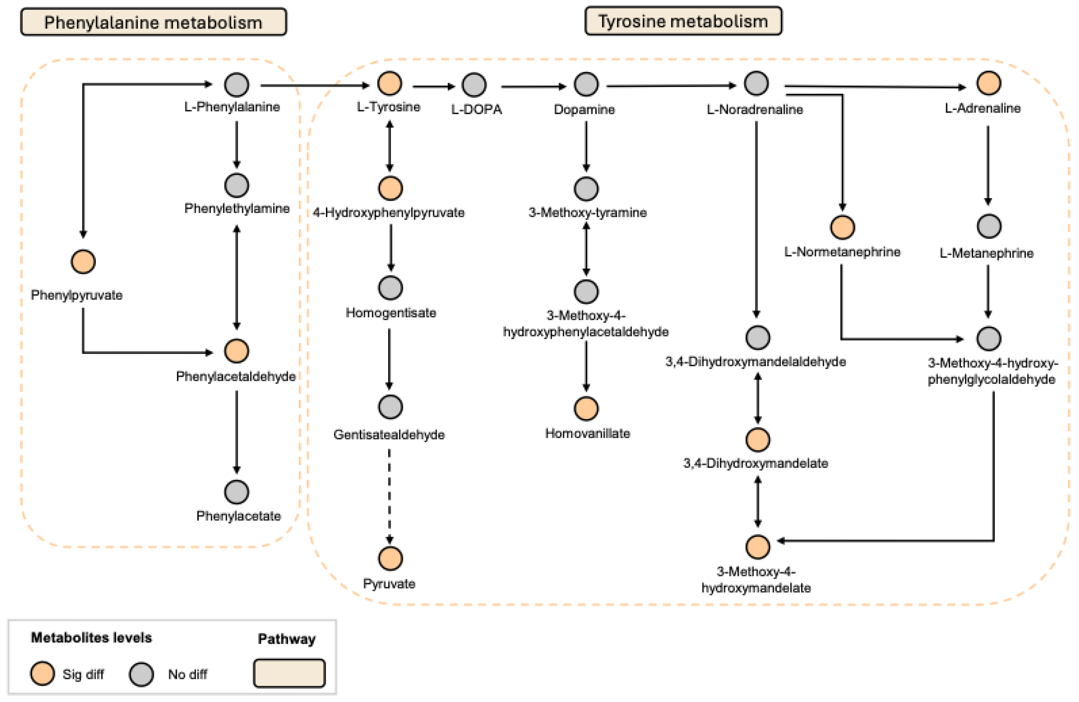 Preprints 147002 g005