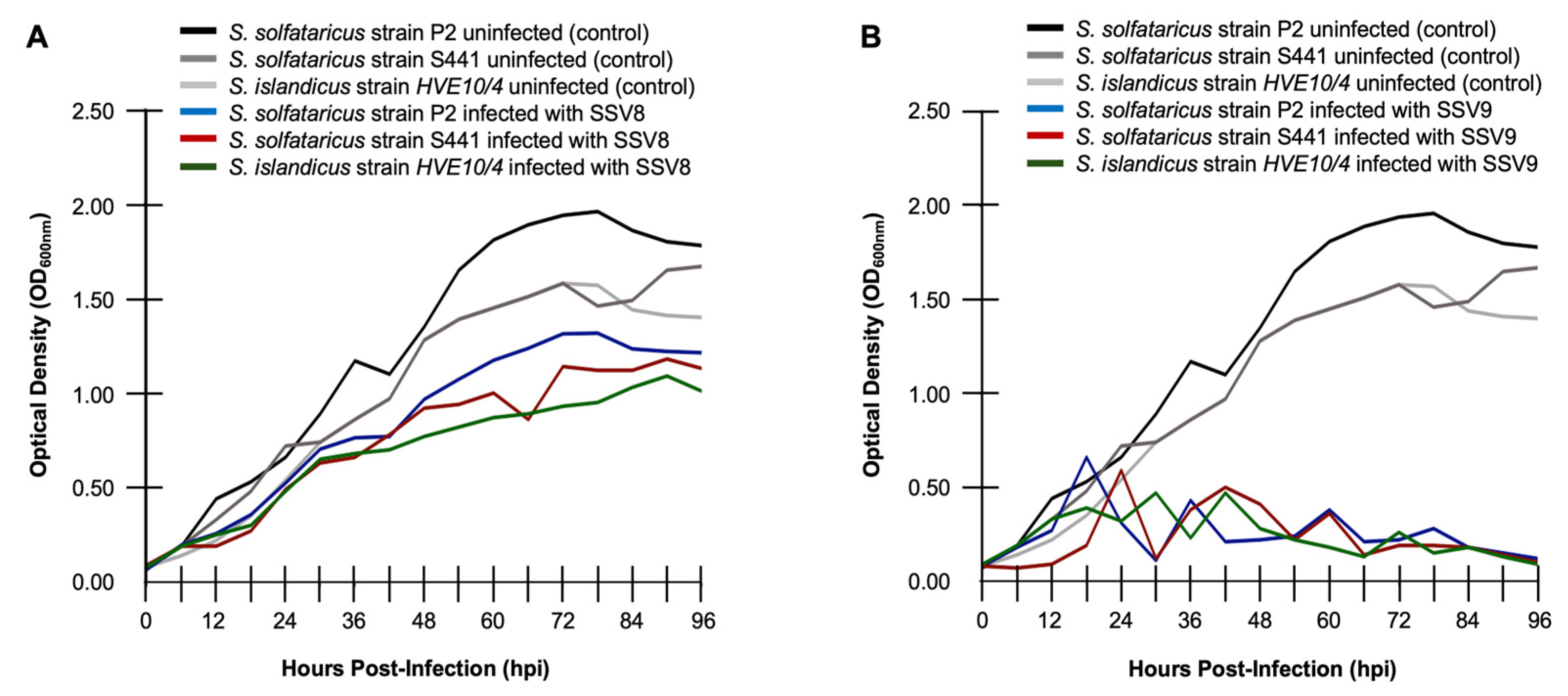 Preprints 147381 g002