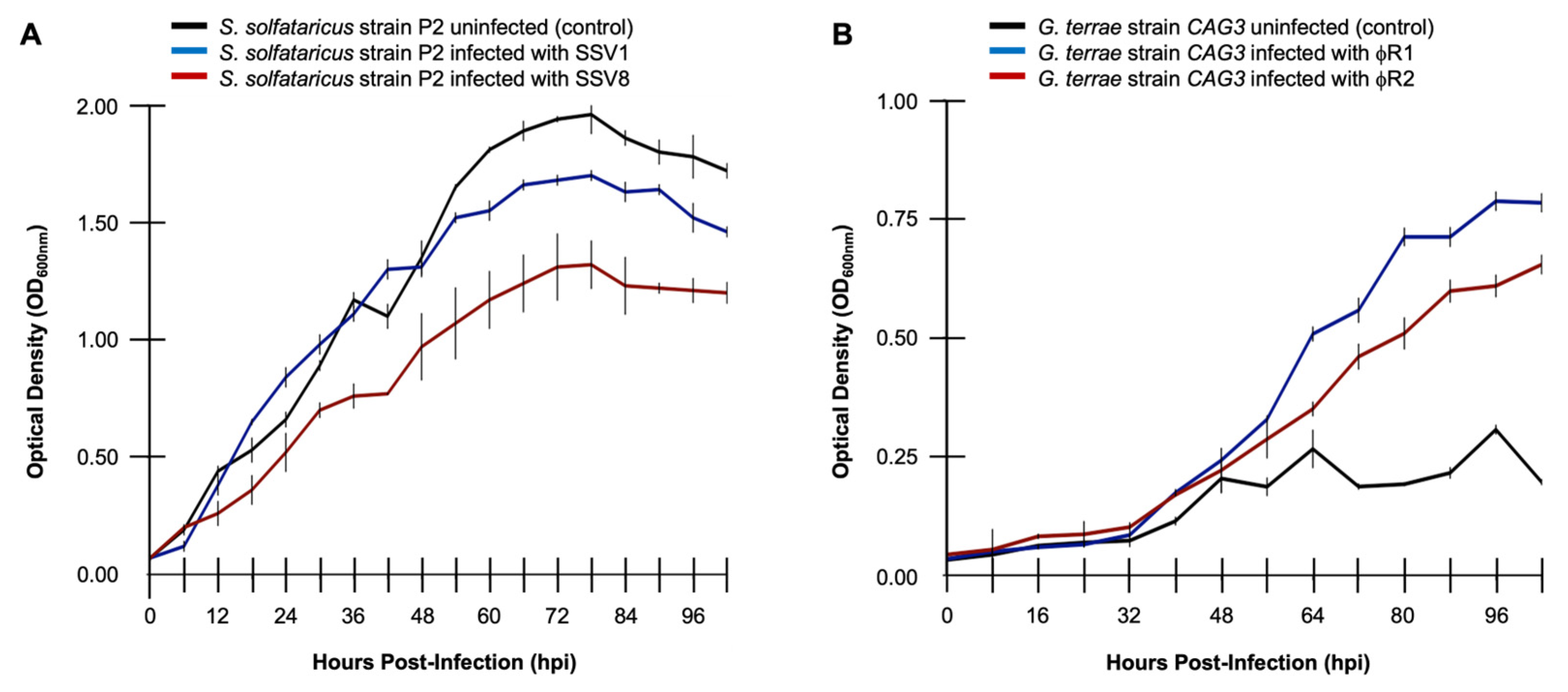 Preprints 147381 g003