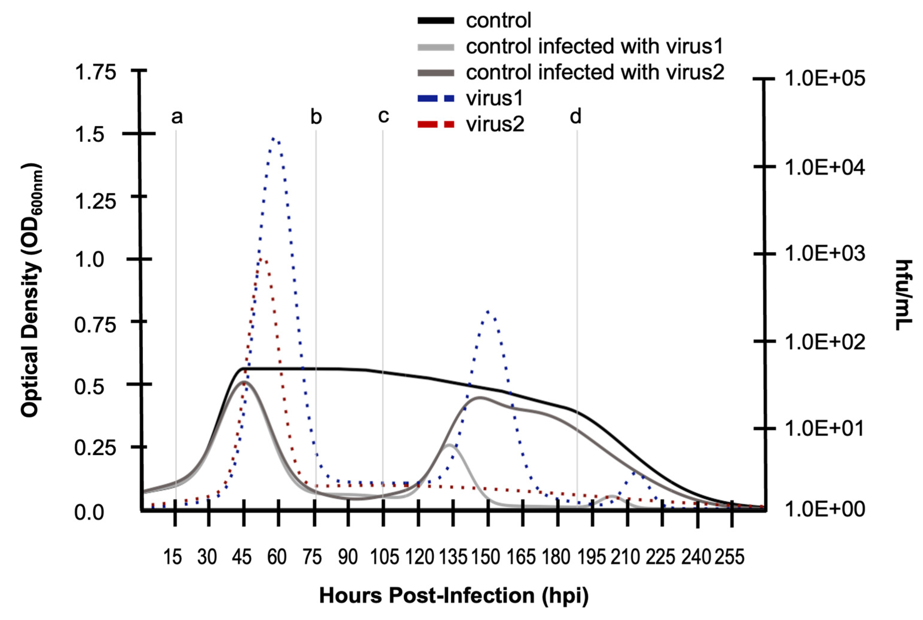 Preprints 147381 g006