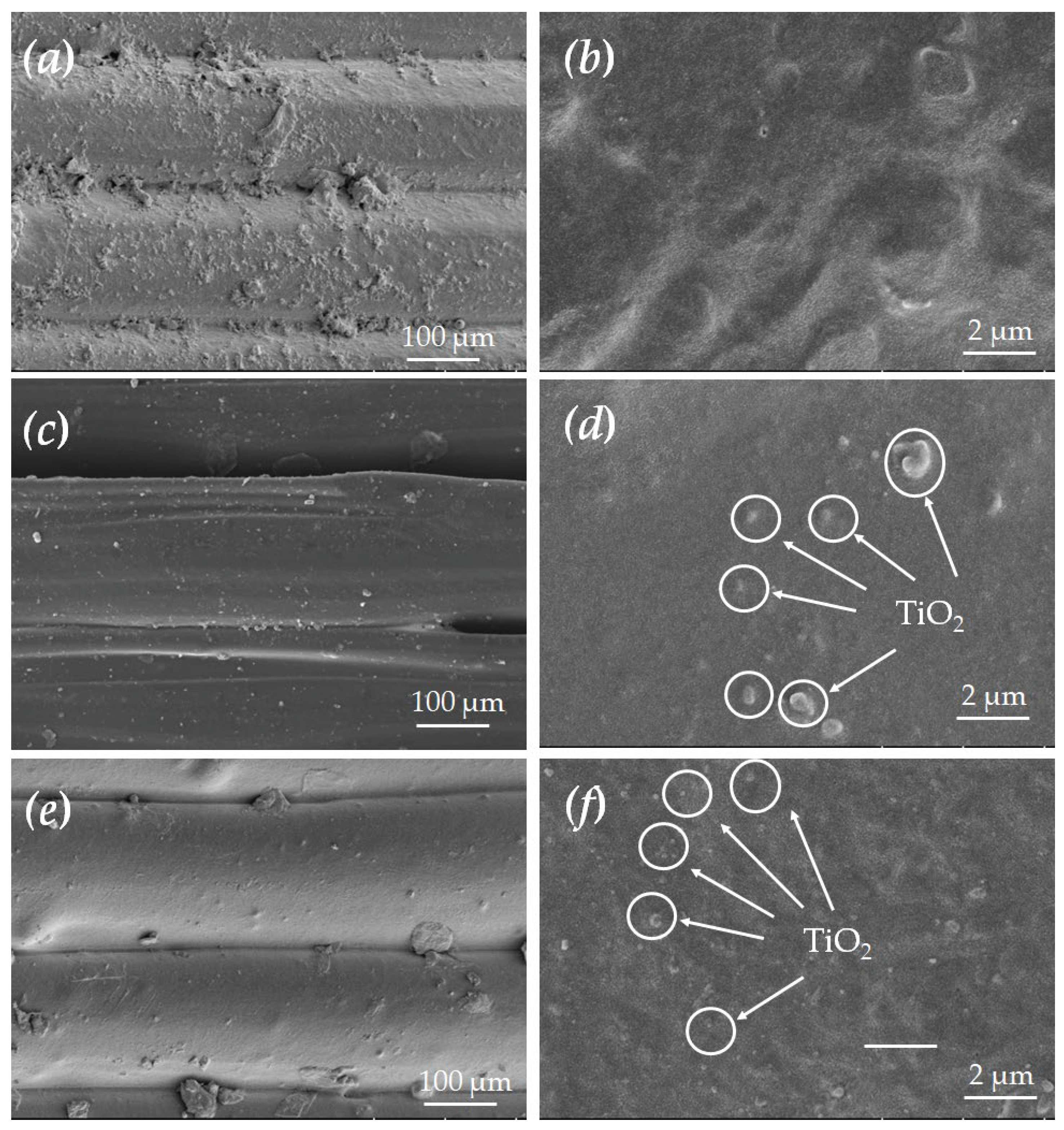 Preprints 173769 g006