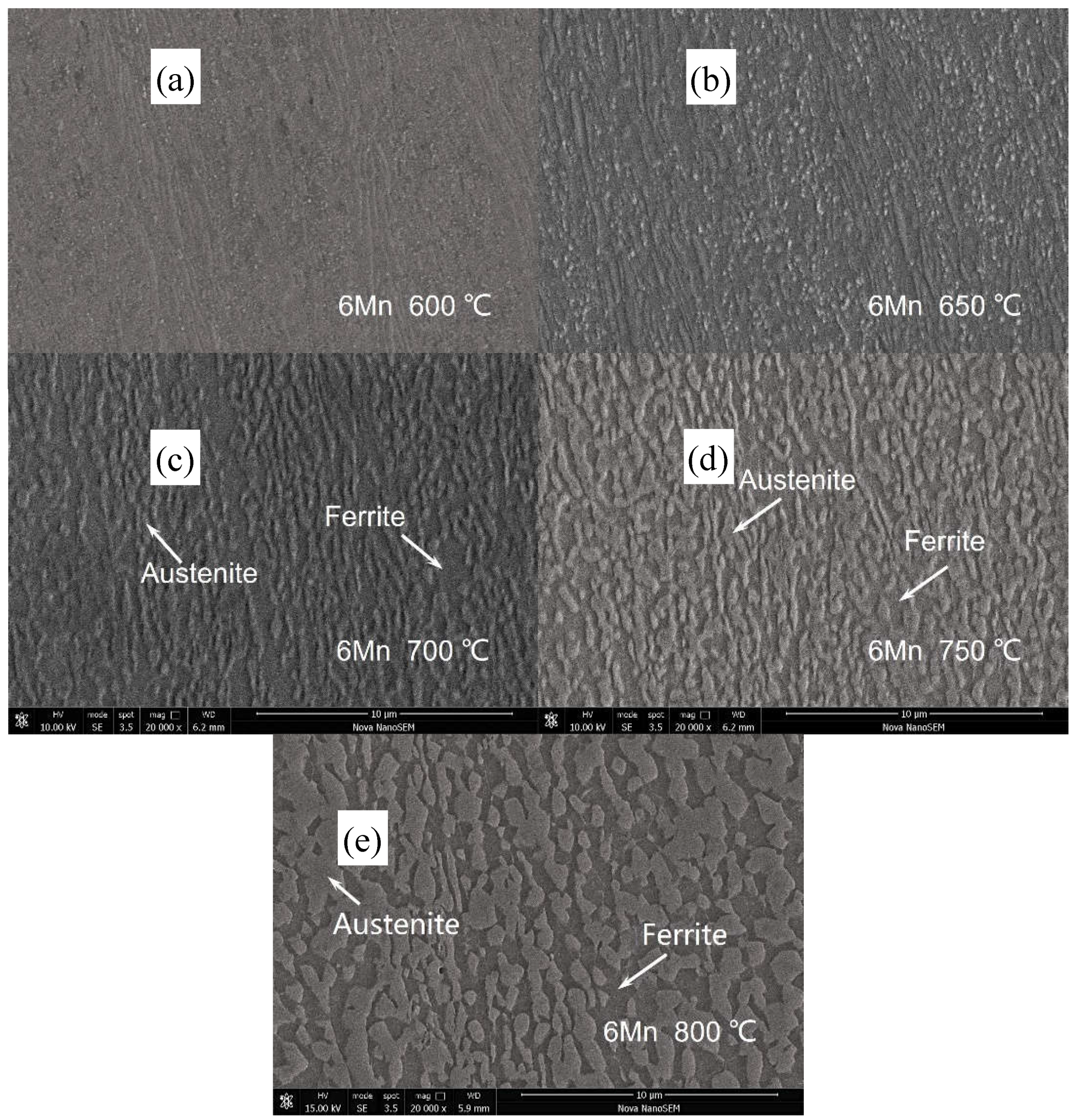 Preprints 144682 g001