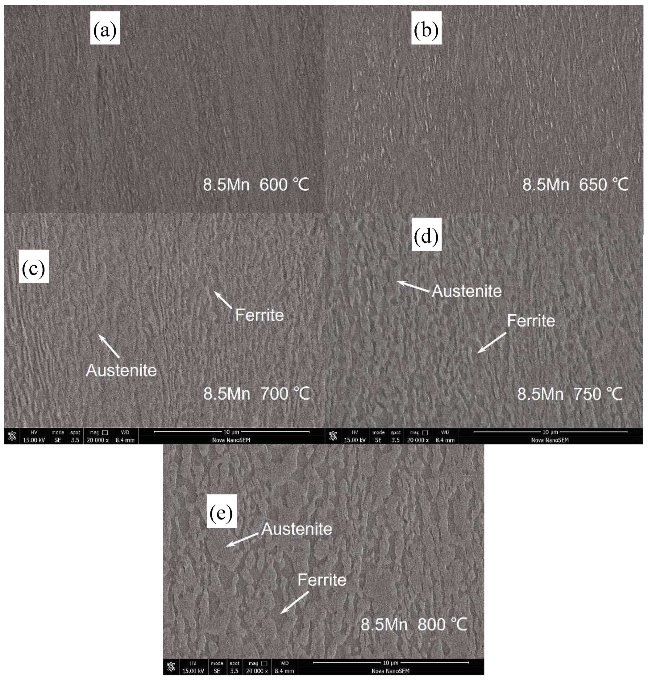 Preprints 144682 g002