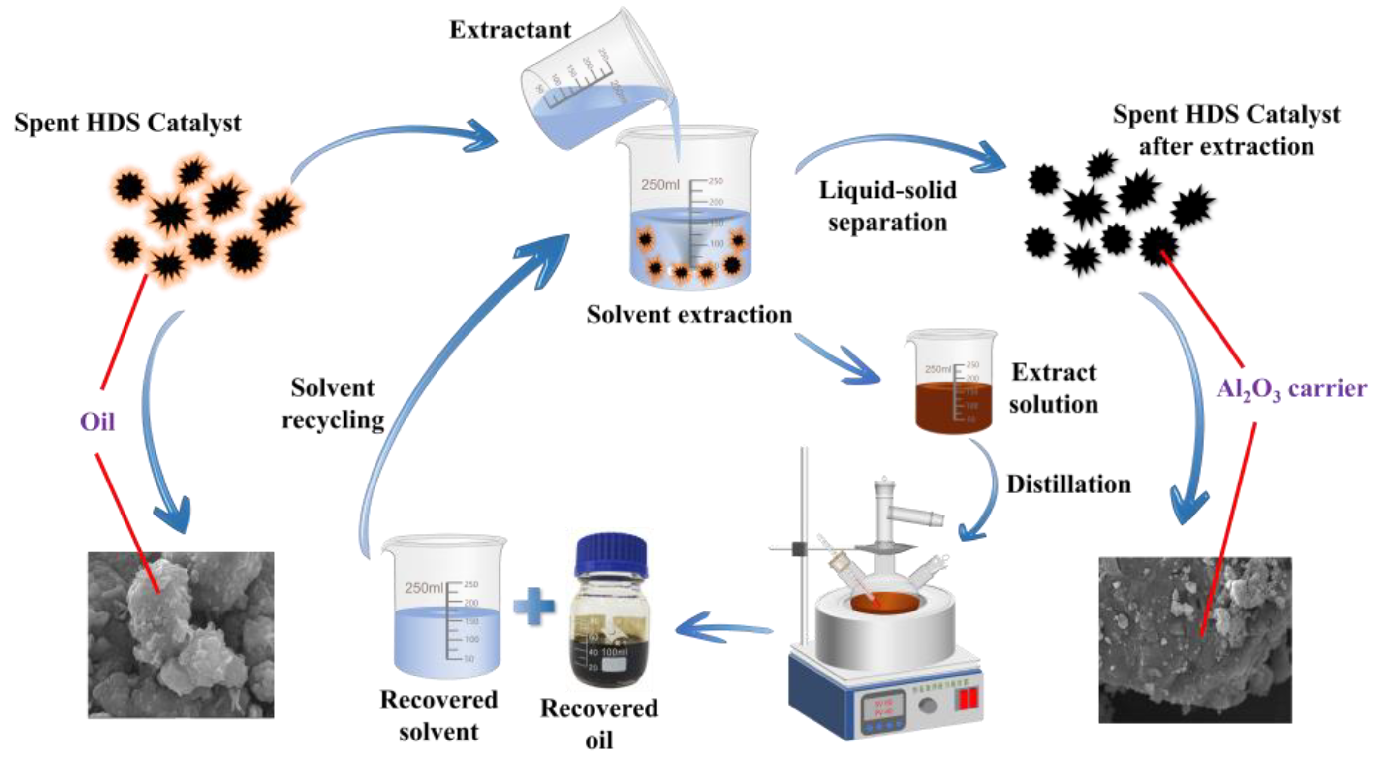Preprints 141830 g001