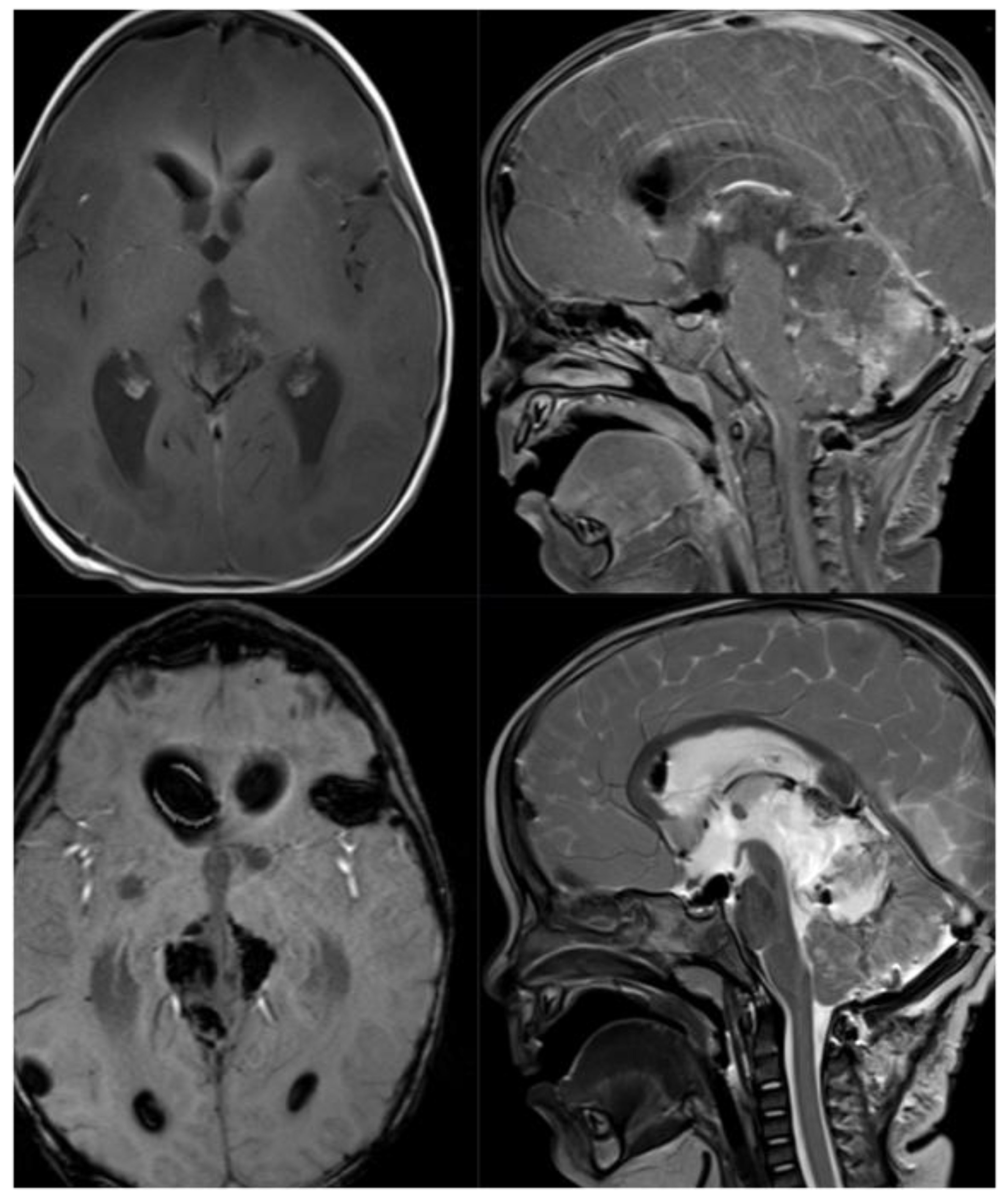 Preprints 177989 g005