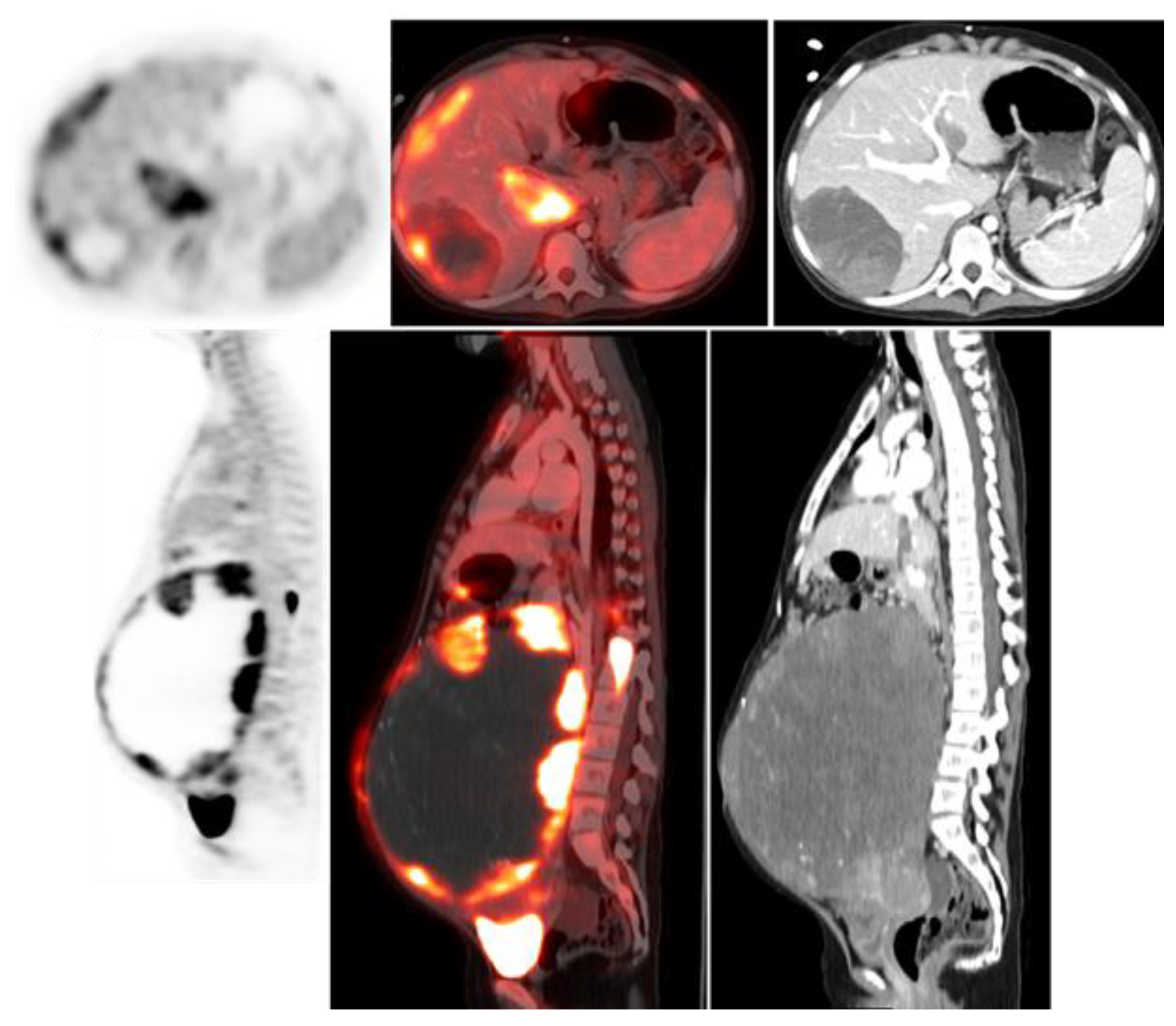 Preprints 177989 g006