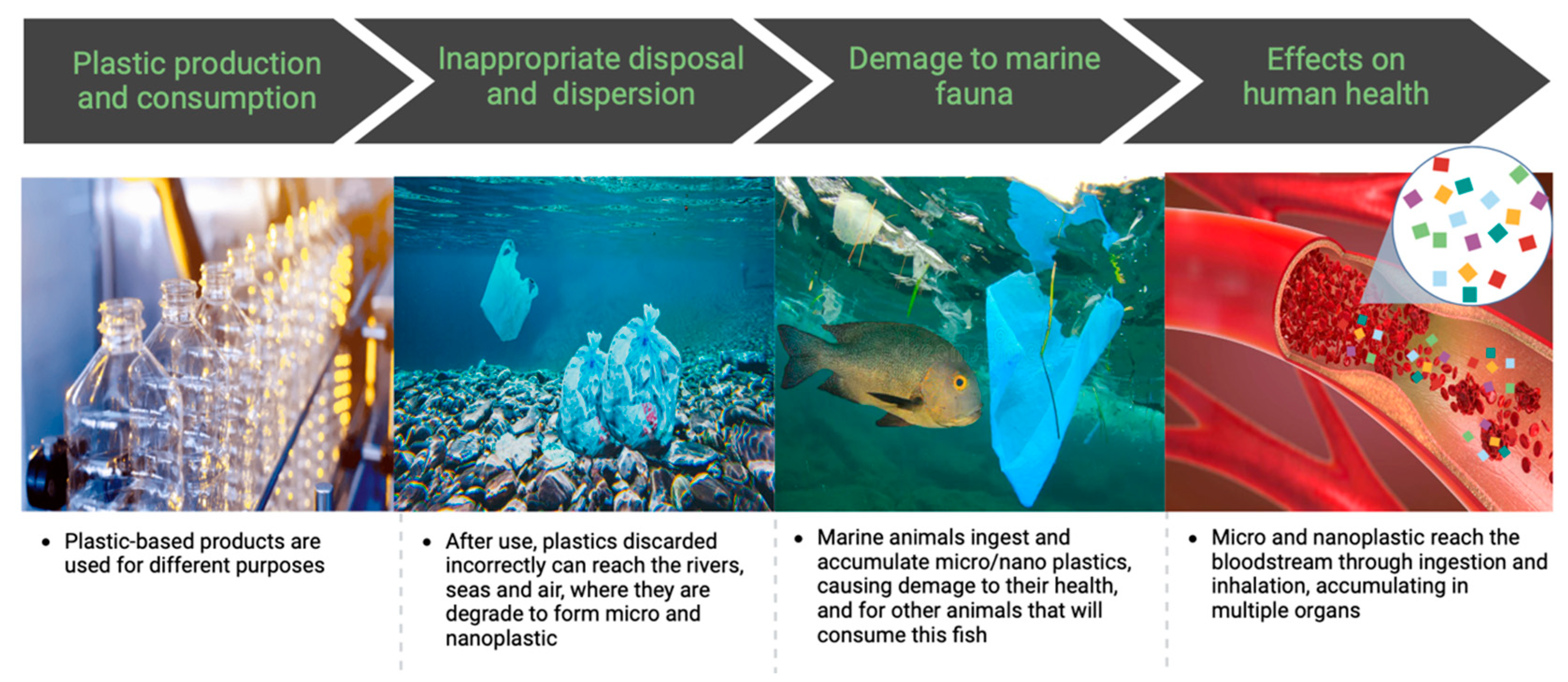 Preprints 165437 g002