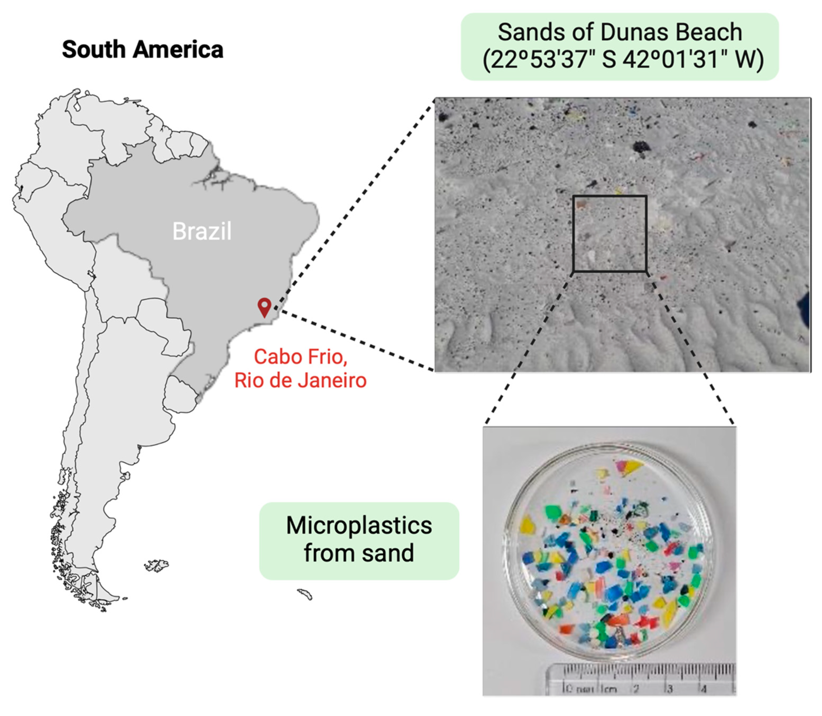 Preprints 165437 g003