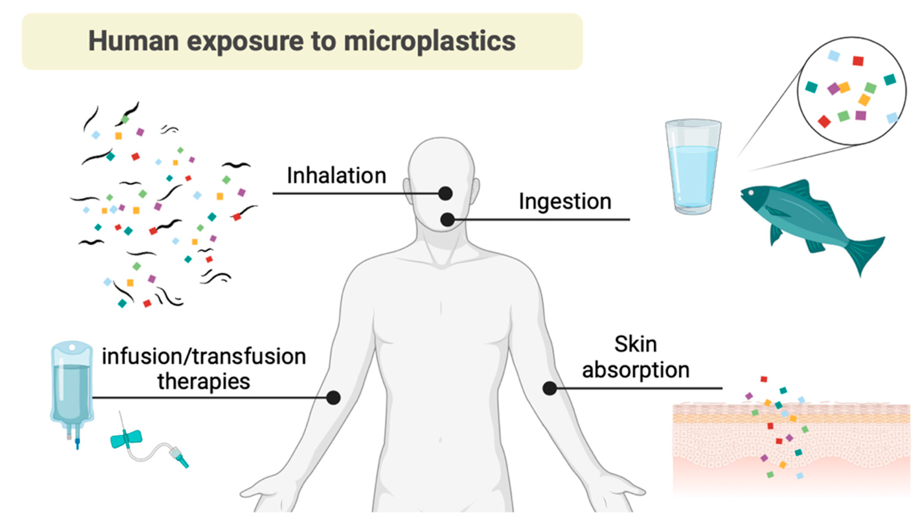 Preprints 165437 g004