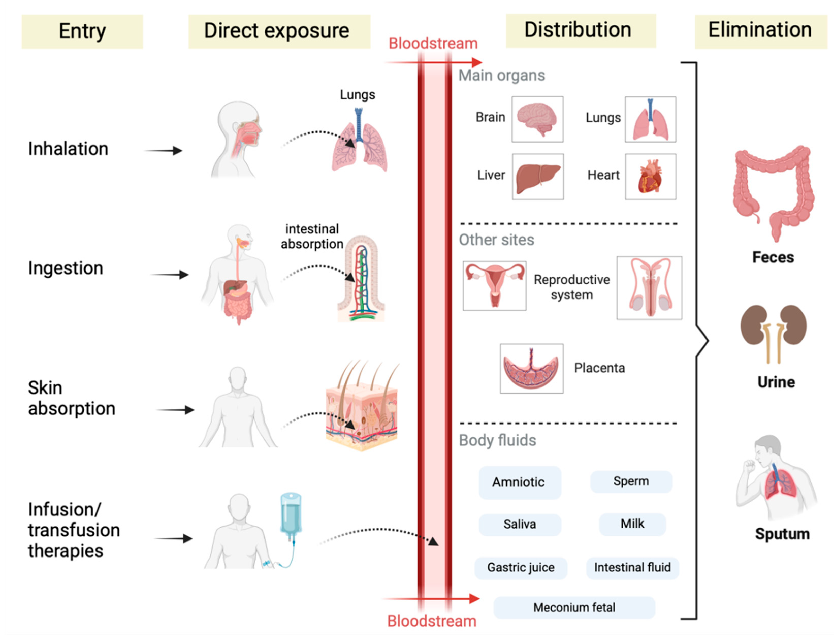 Preprints 165437 g005