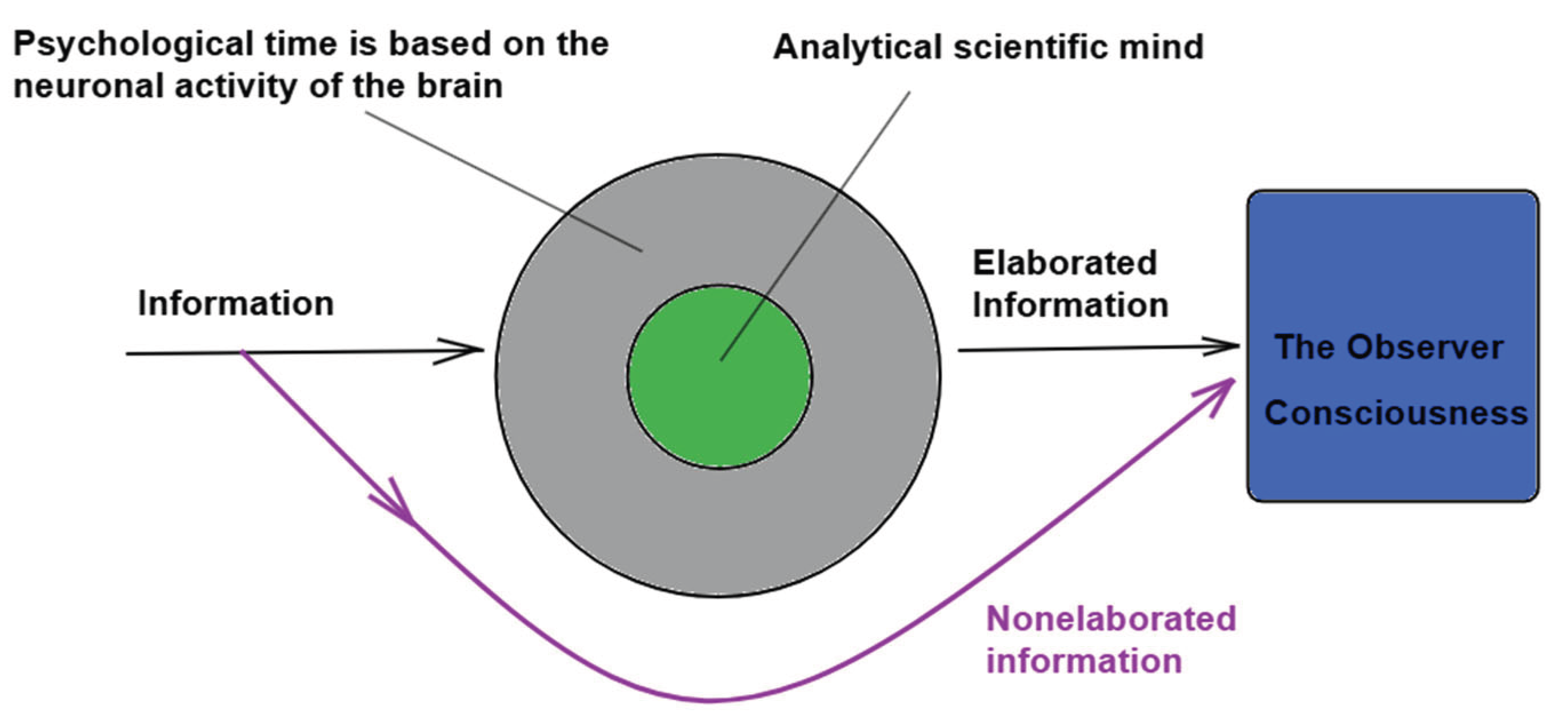 Preprints 181461 g001