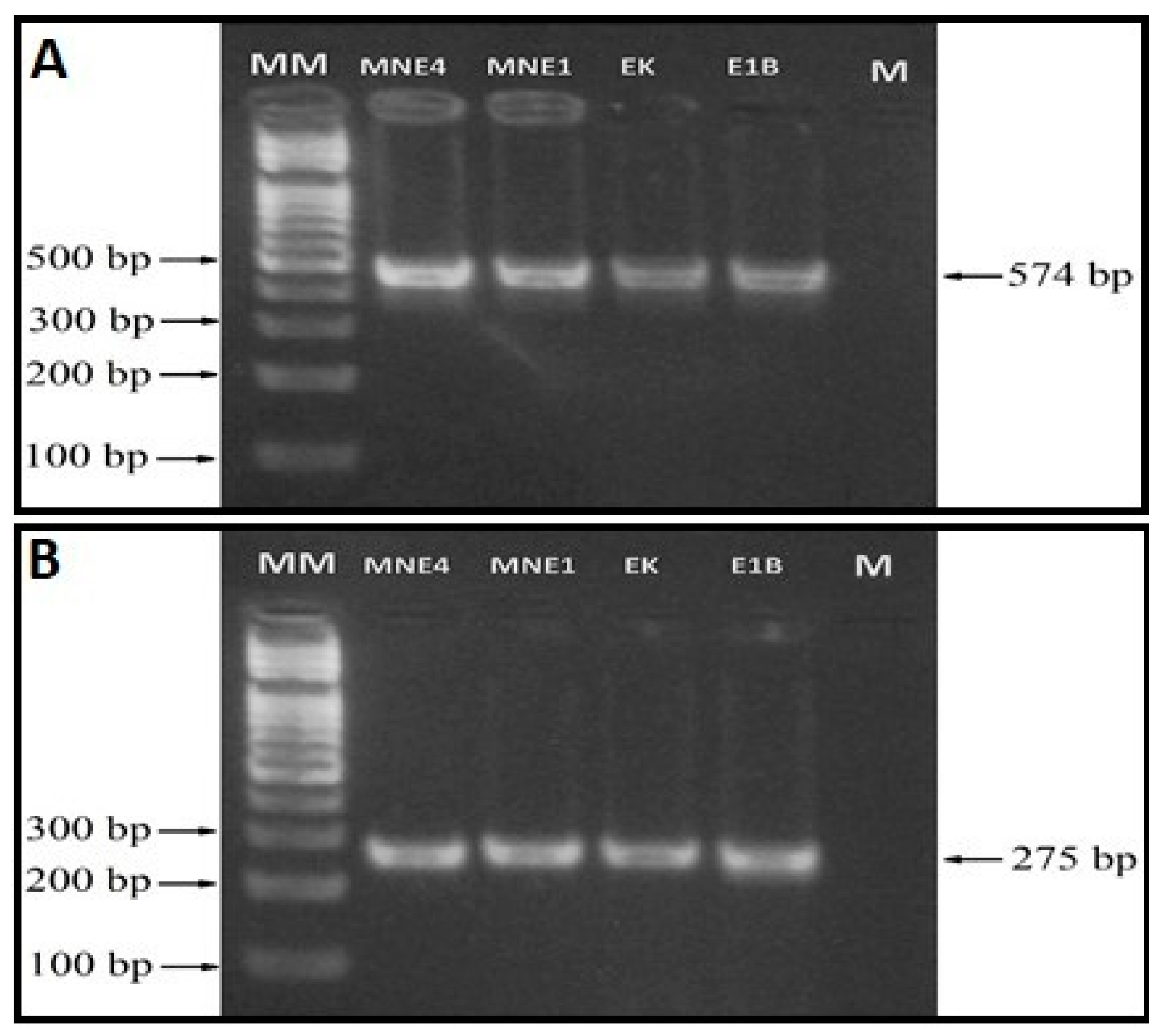 Preprints 152569 g003