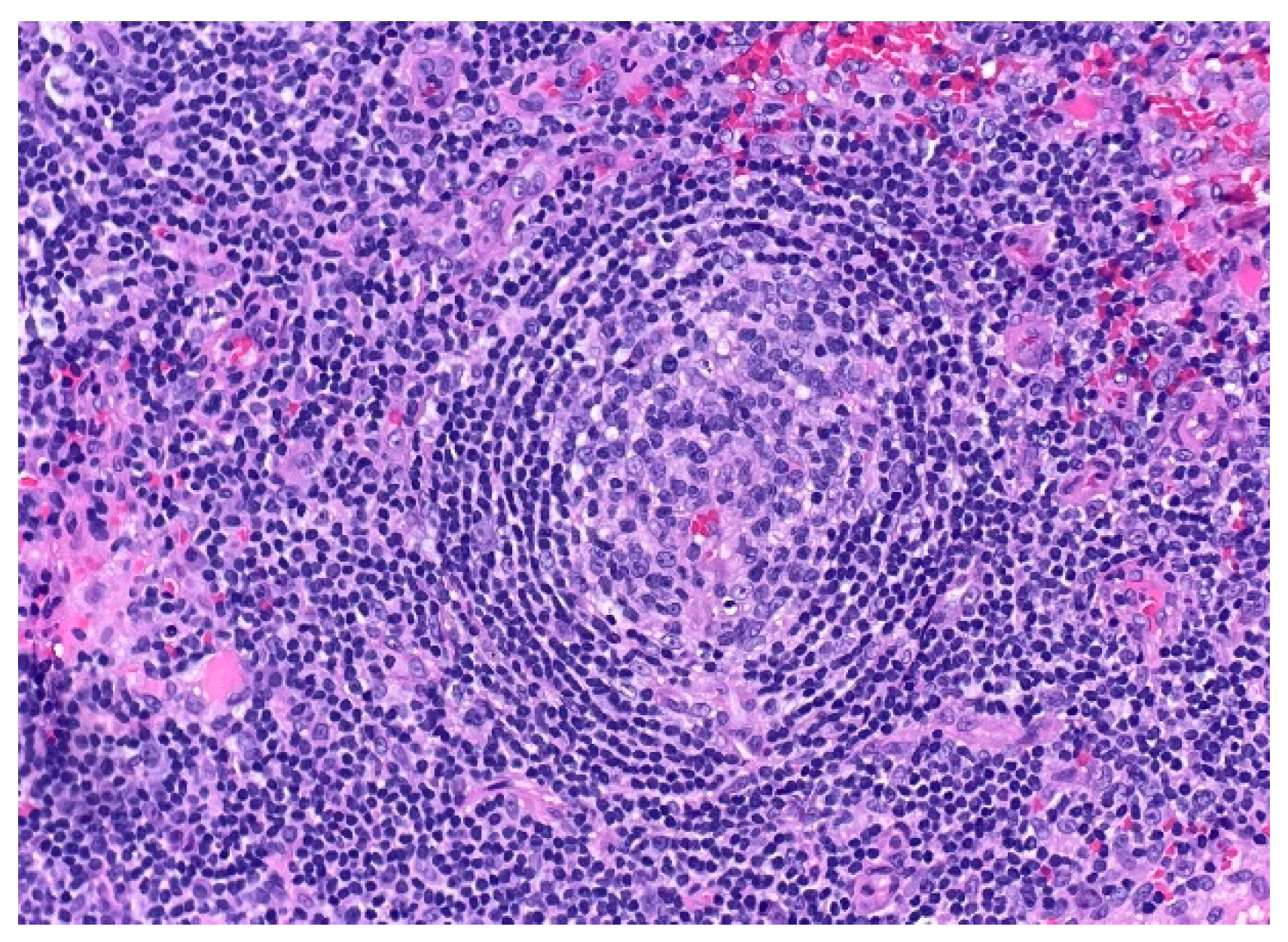 Preprints 170298 g002