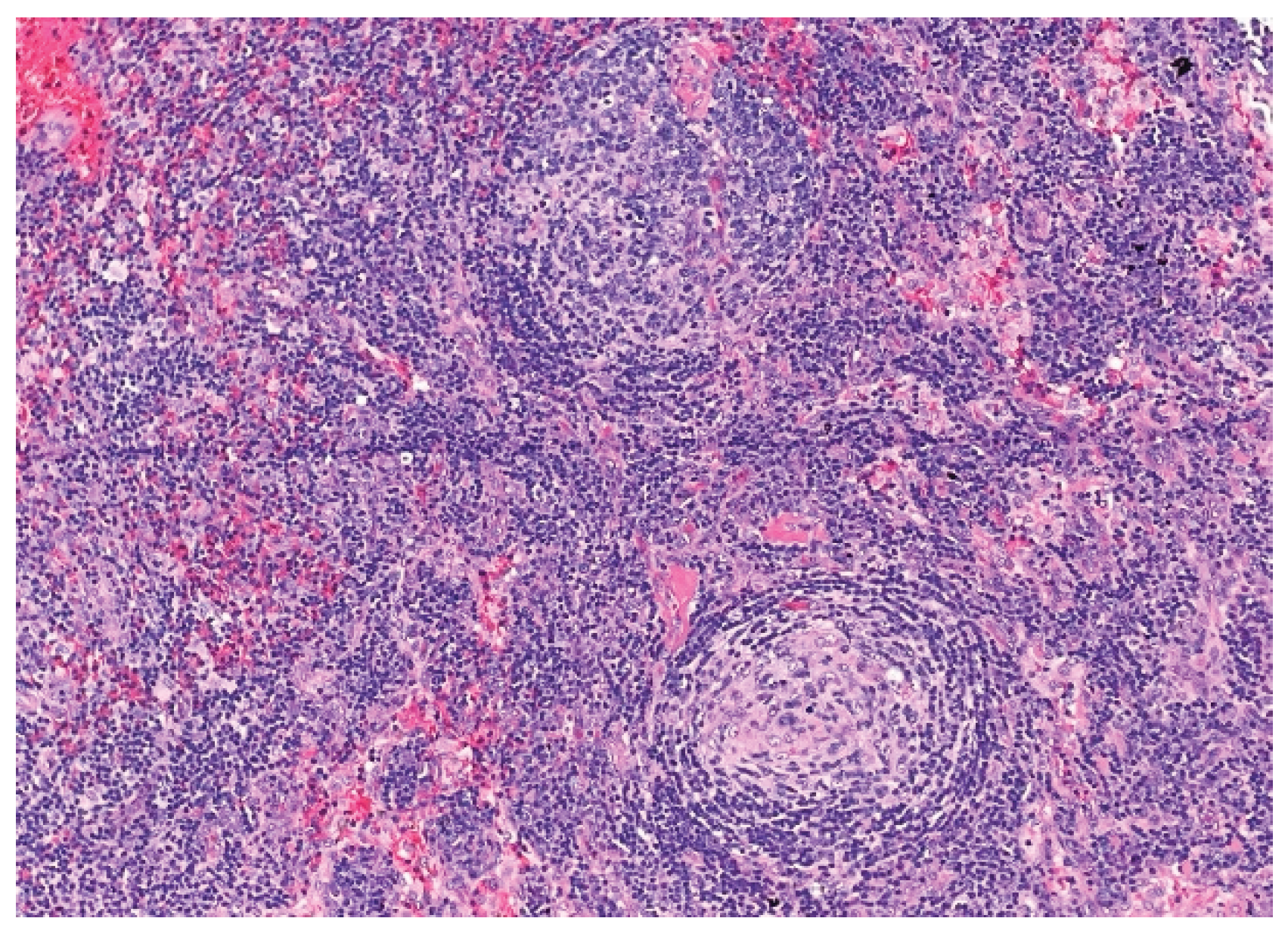 Preprints 170298 g003