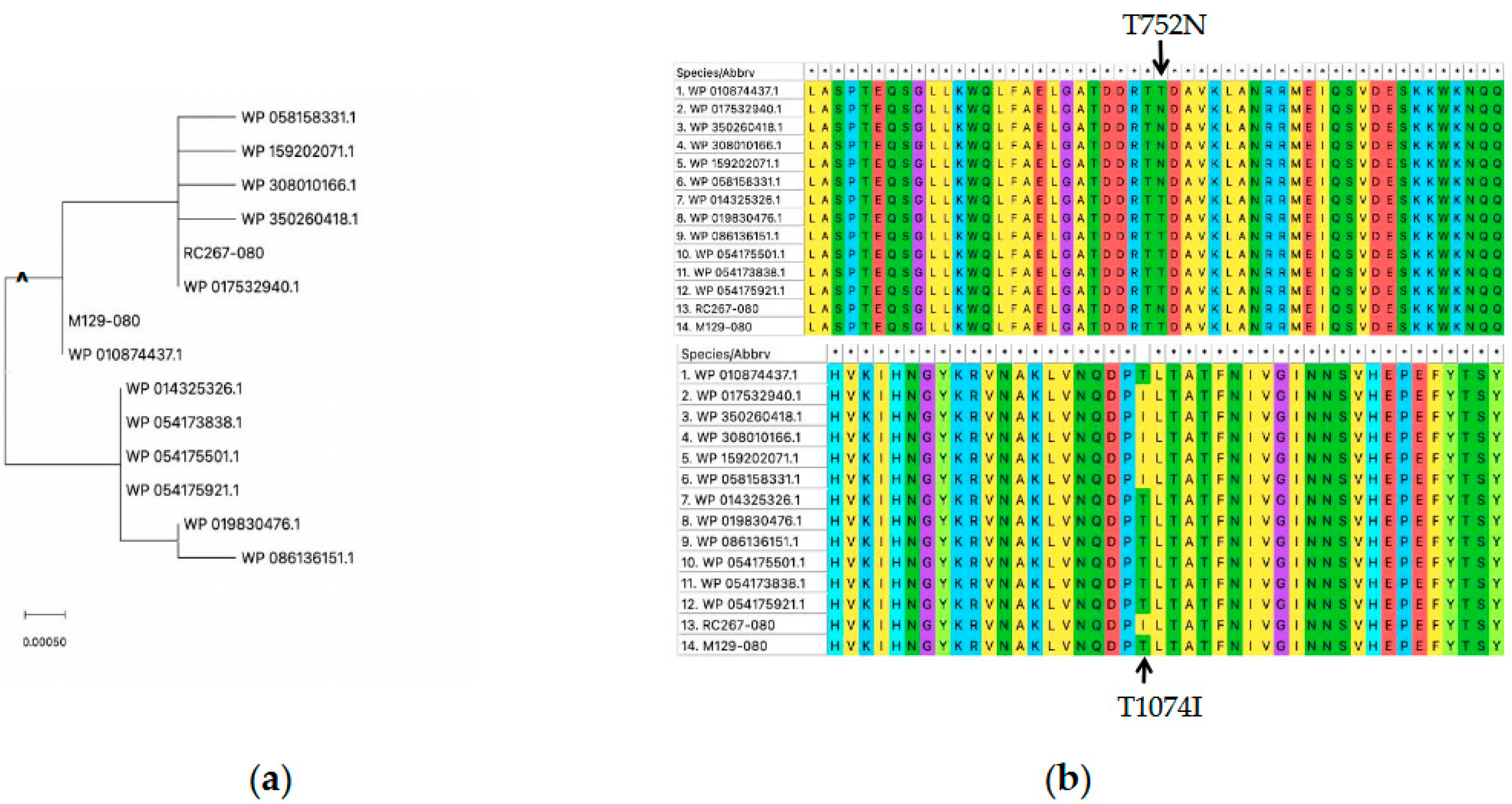 Preprints 200284 g001
