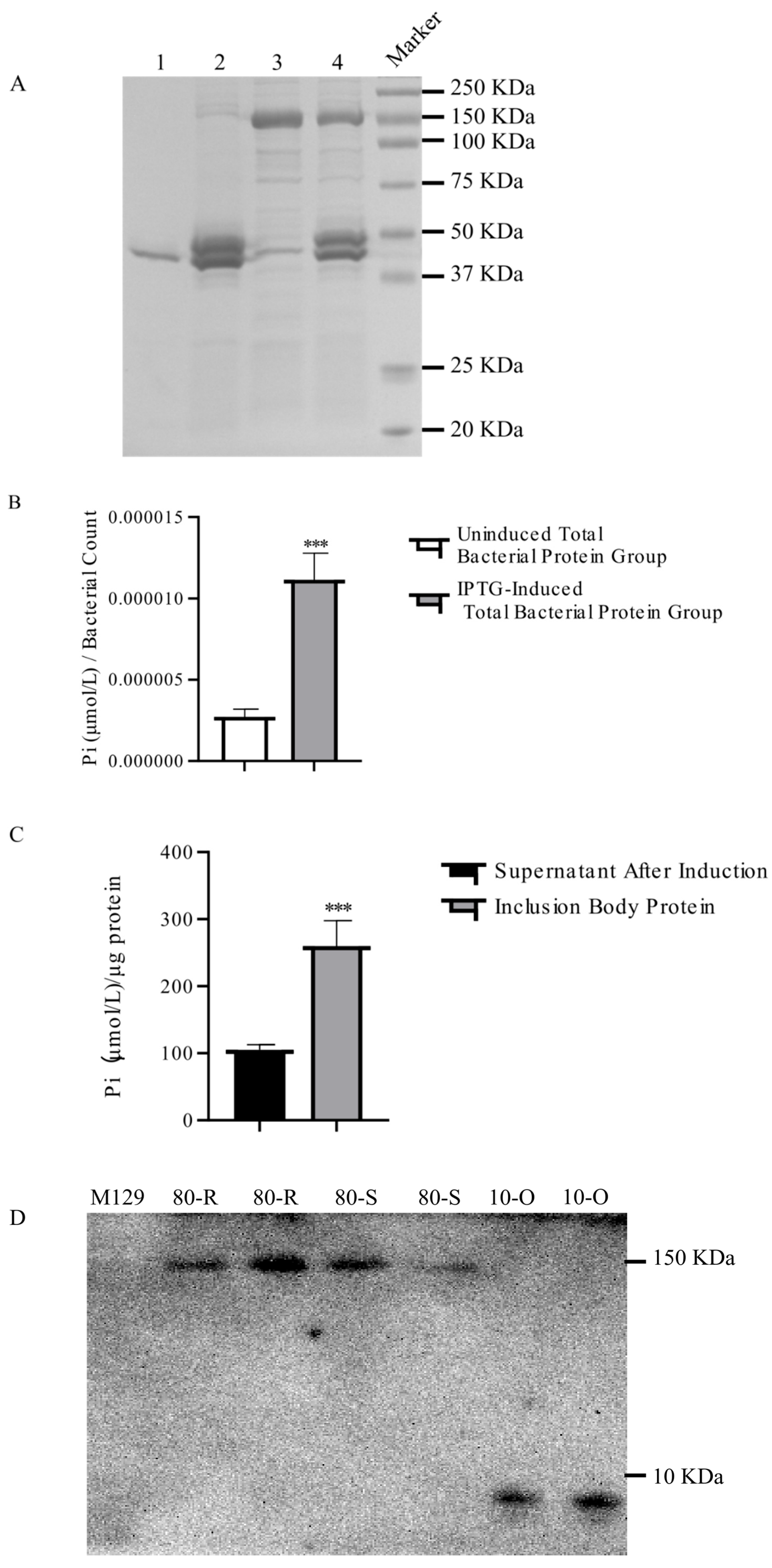 Preprints 200284 g003