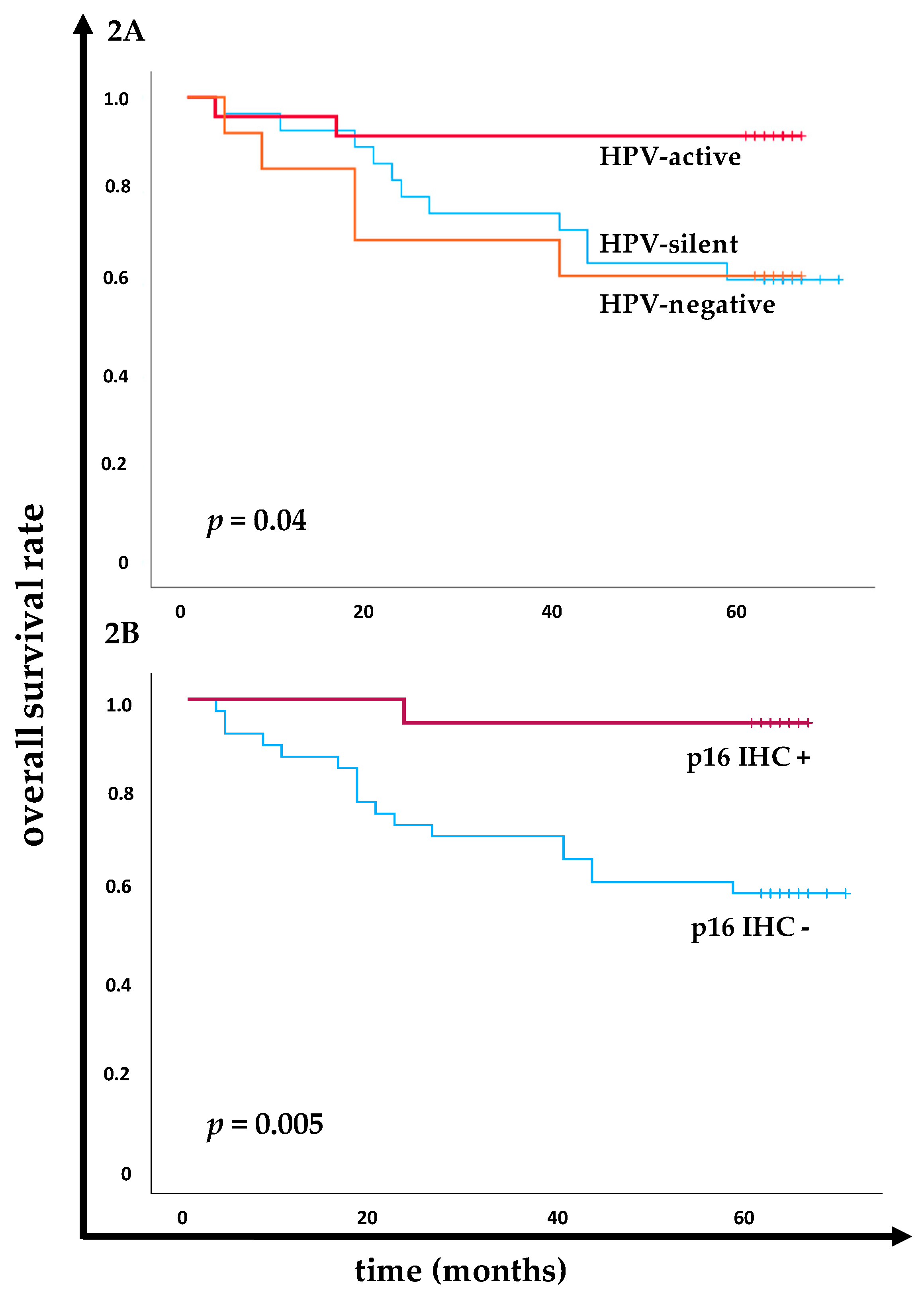 Preprints 139002 g002