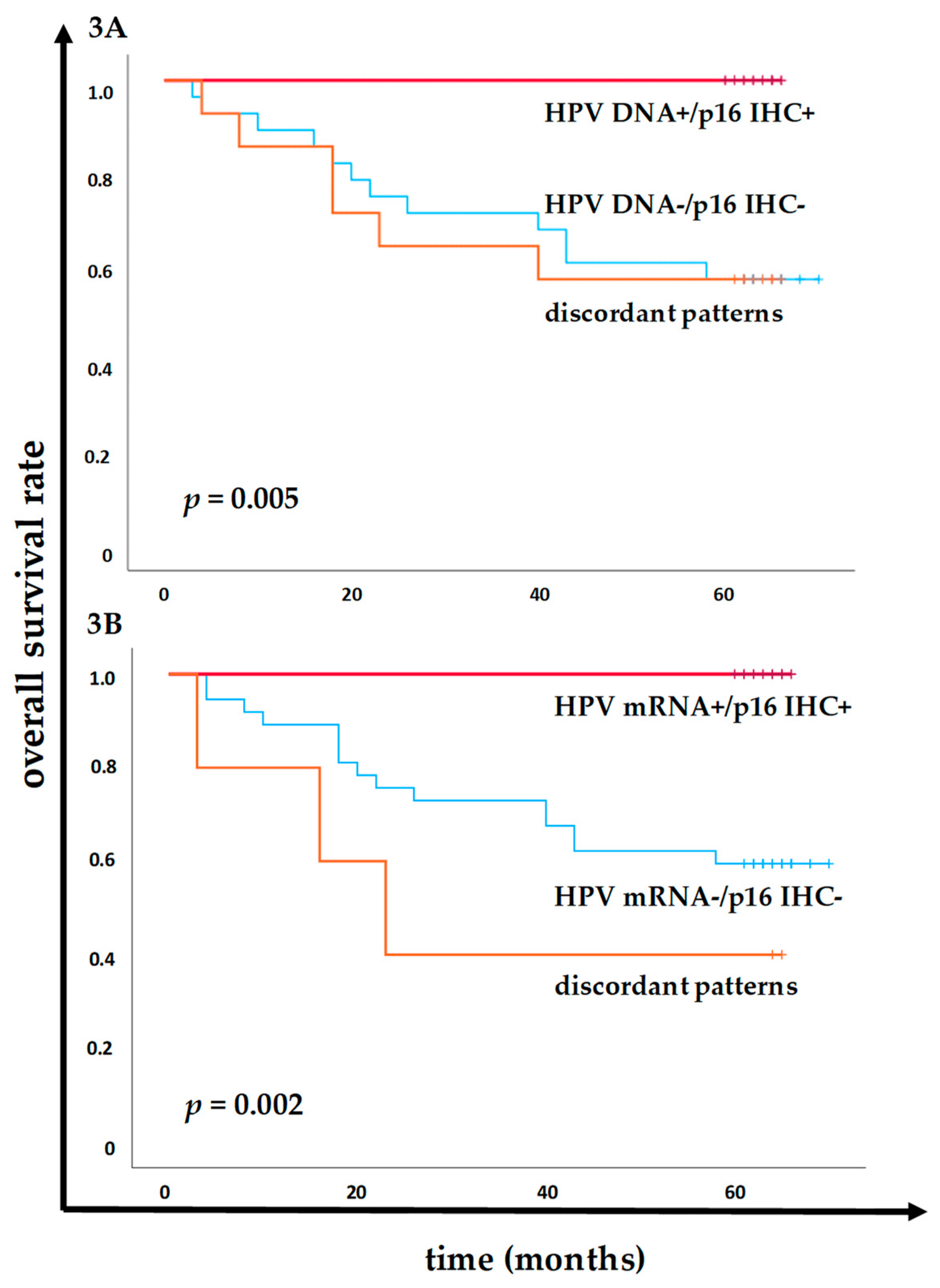 Preprints 139002 g003