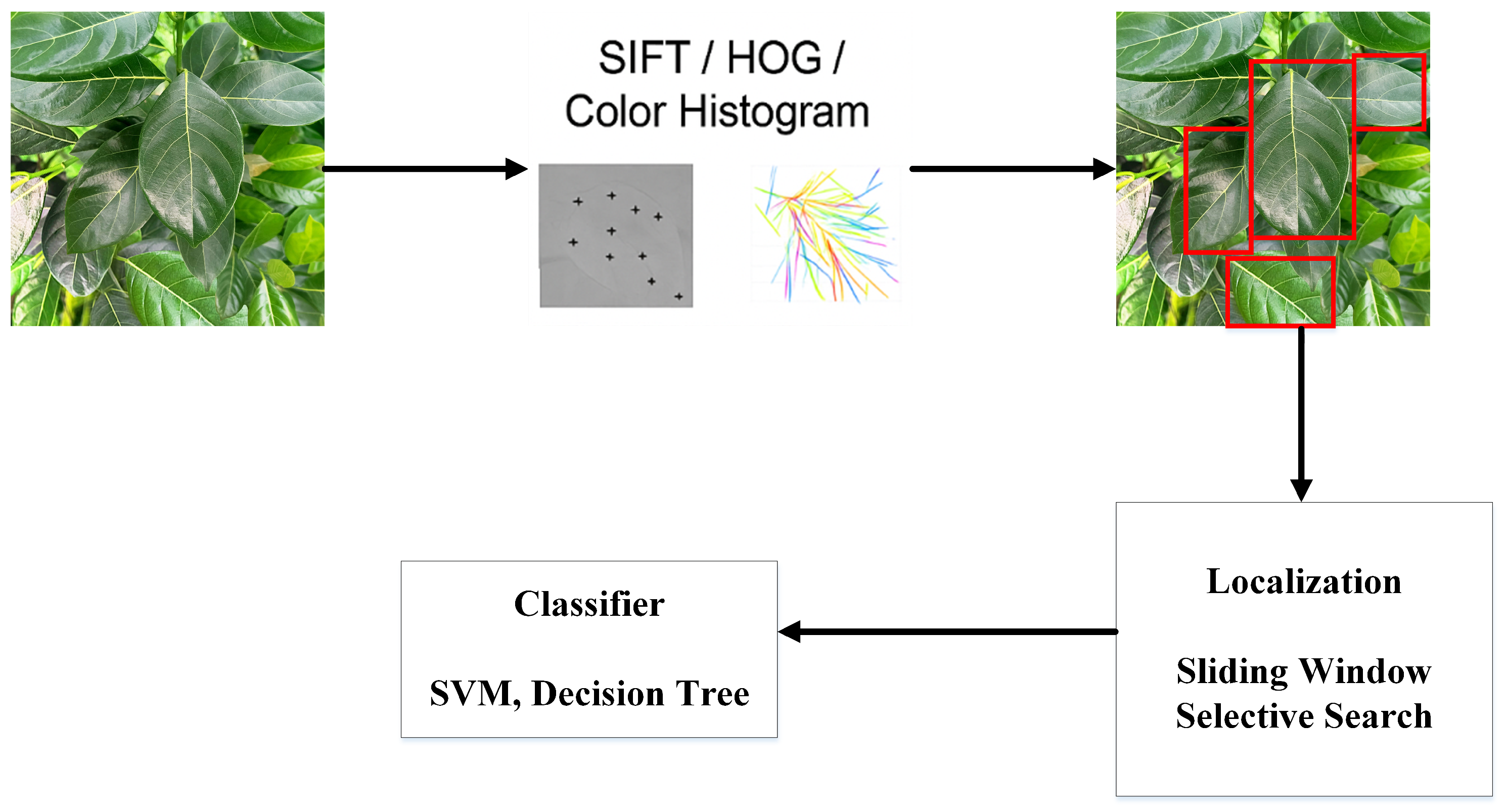 Preprints 158685 g003