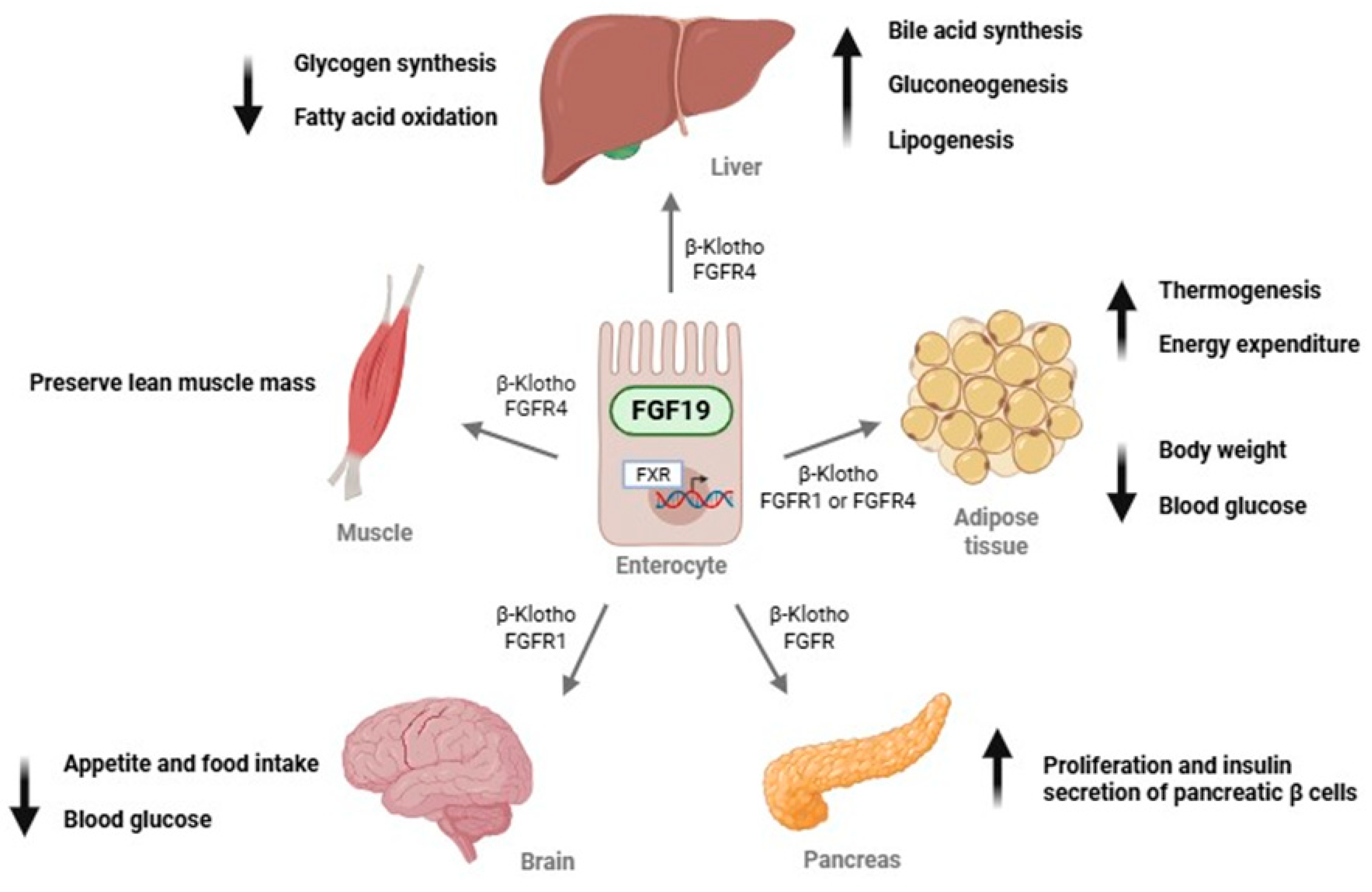 Preprints 190357 g001