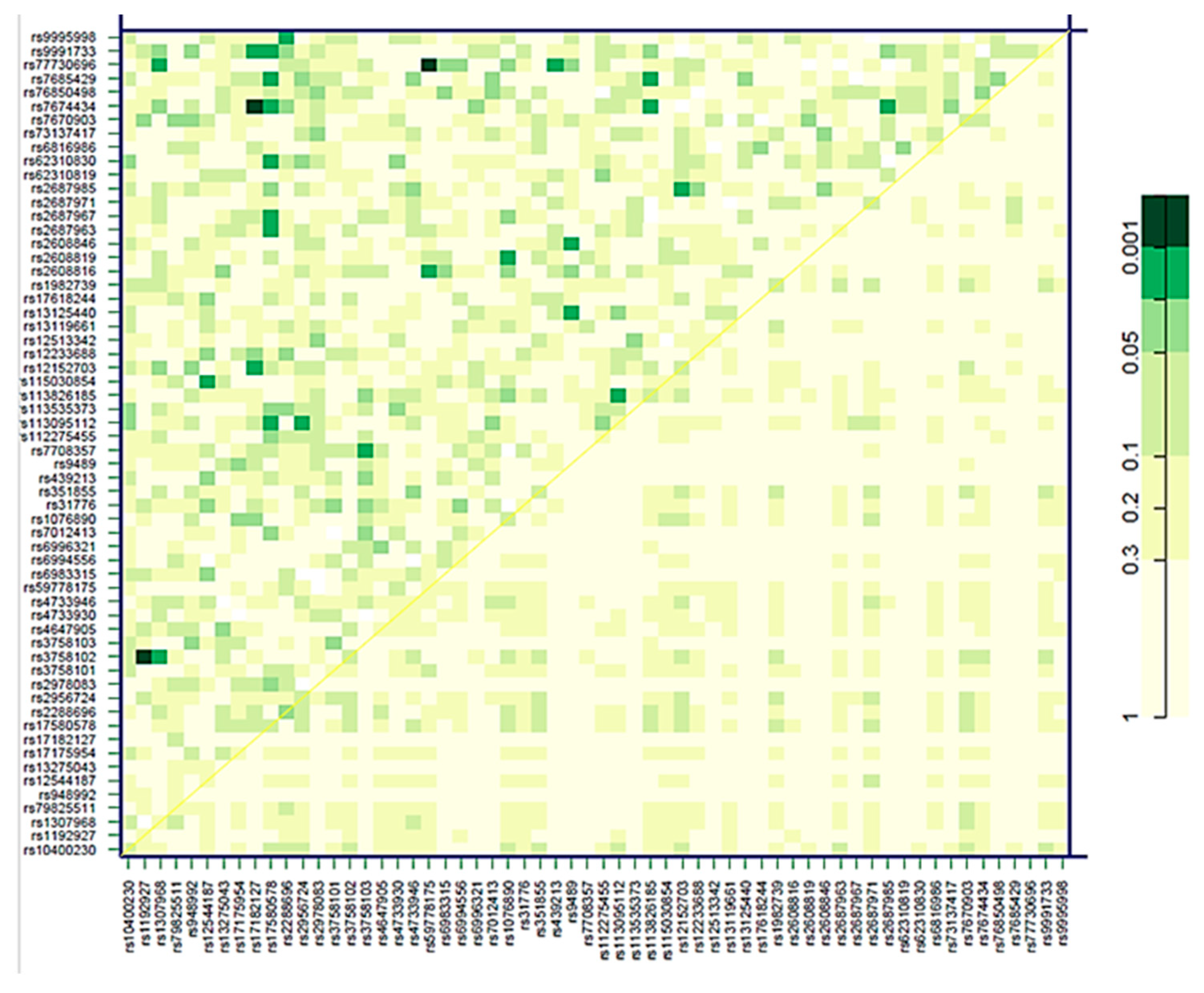 Preprints 190357 g005