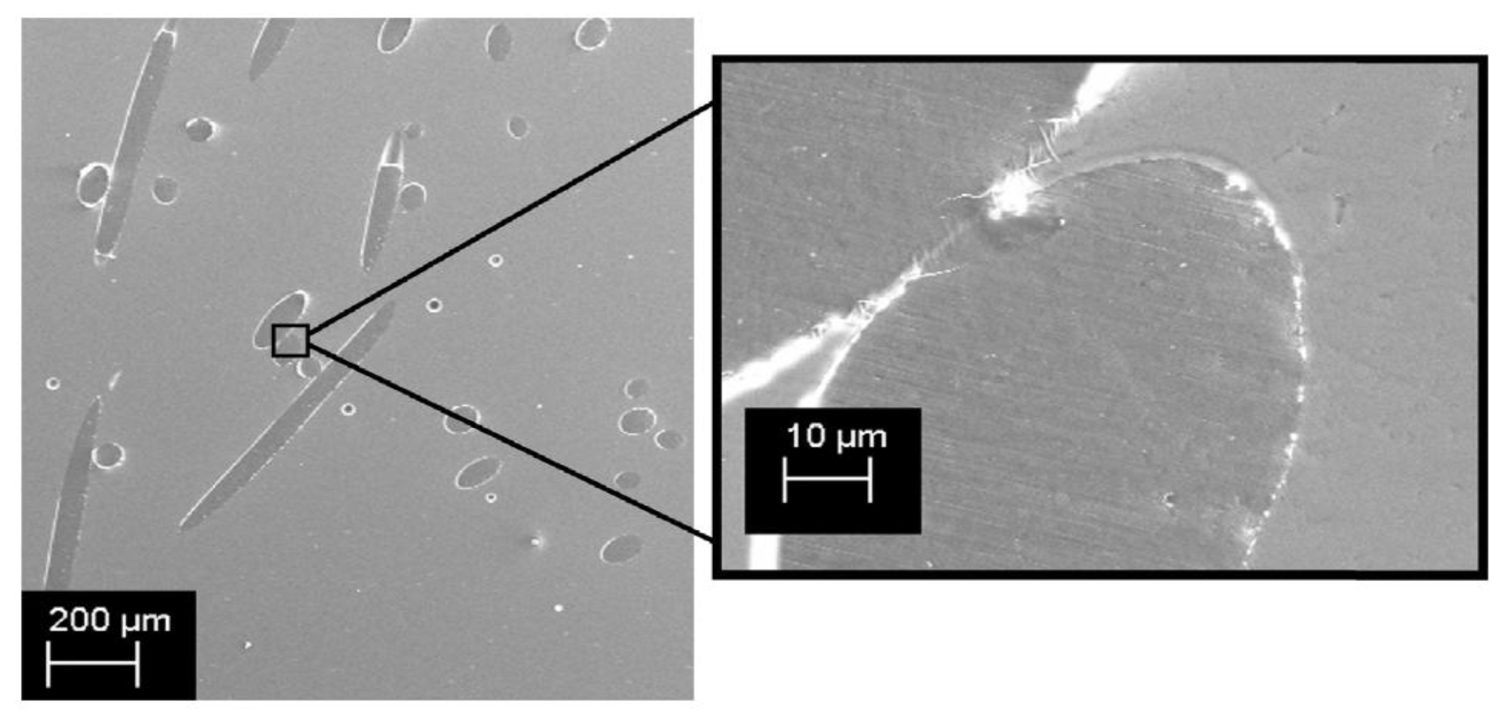 Preprints 152470 g003